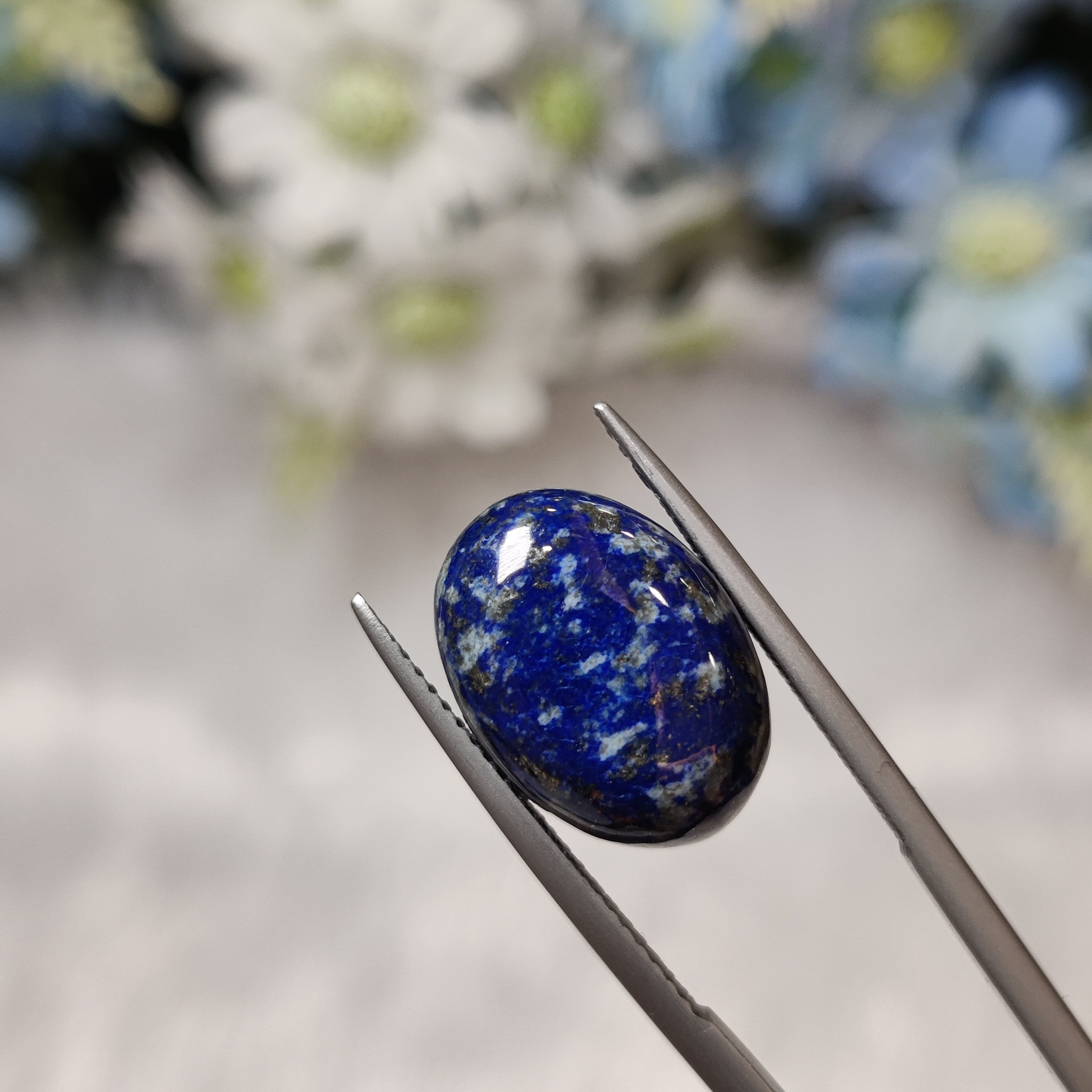 Lapis Lazuli | Lapis 25 | 11.63 Carat