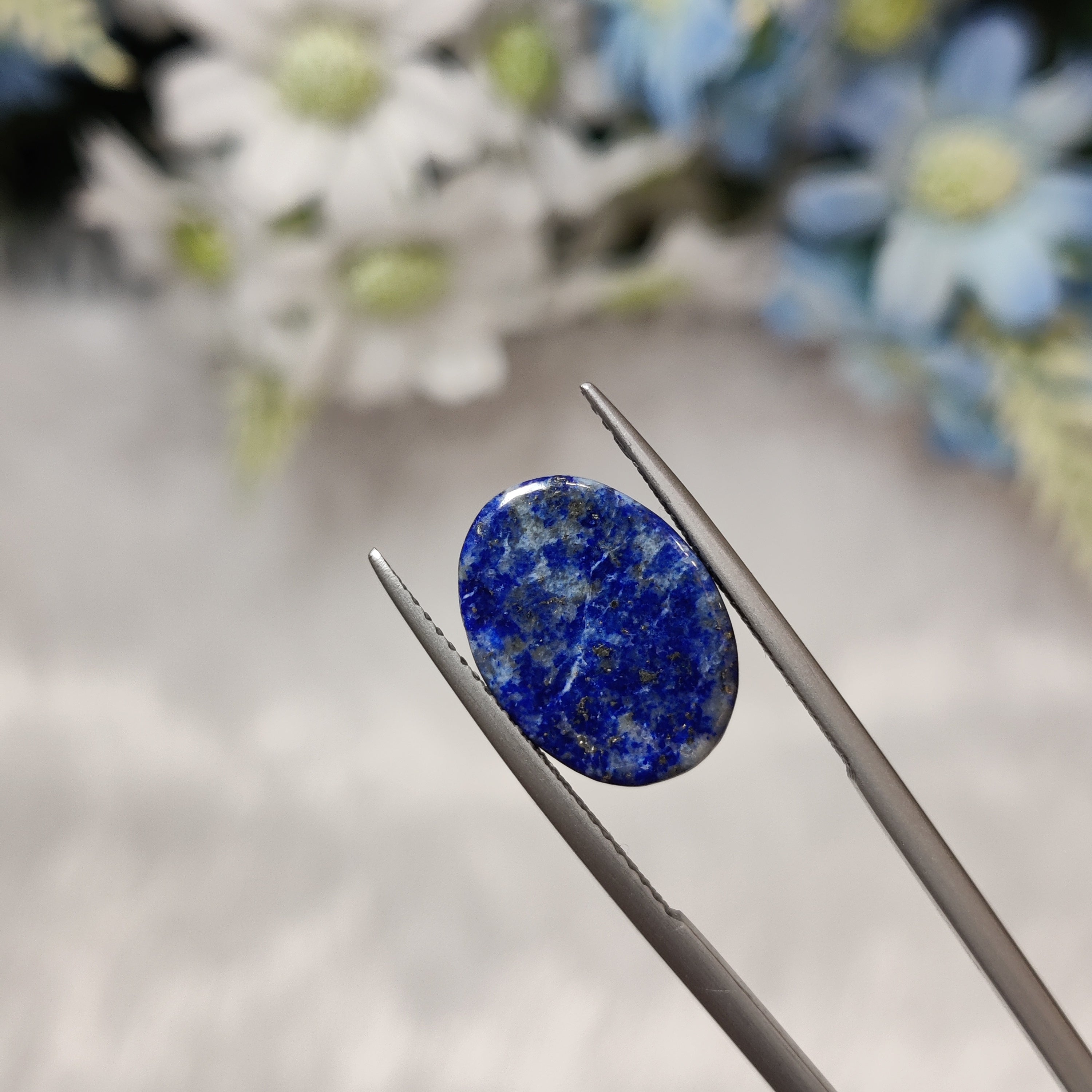 Lapis Lazuli | Lapis 46 | 10.73 Carat