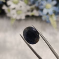 Blue Sapphire | BS 50 | 11.3 Carat