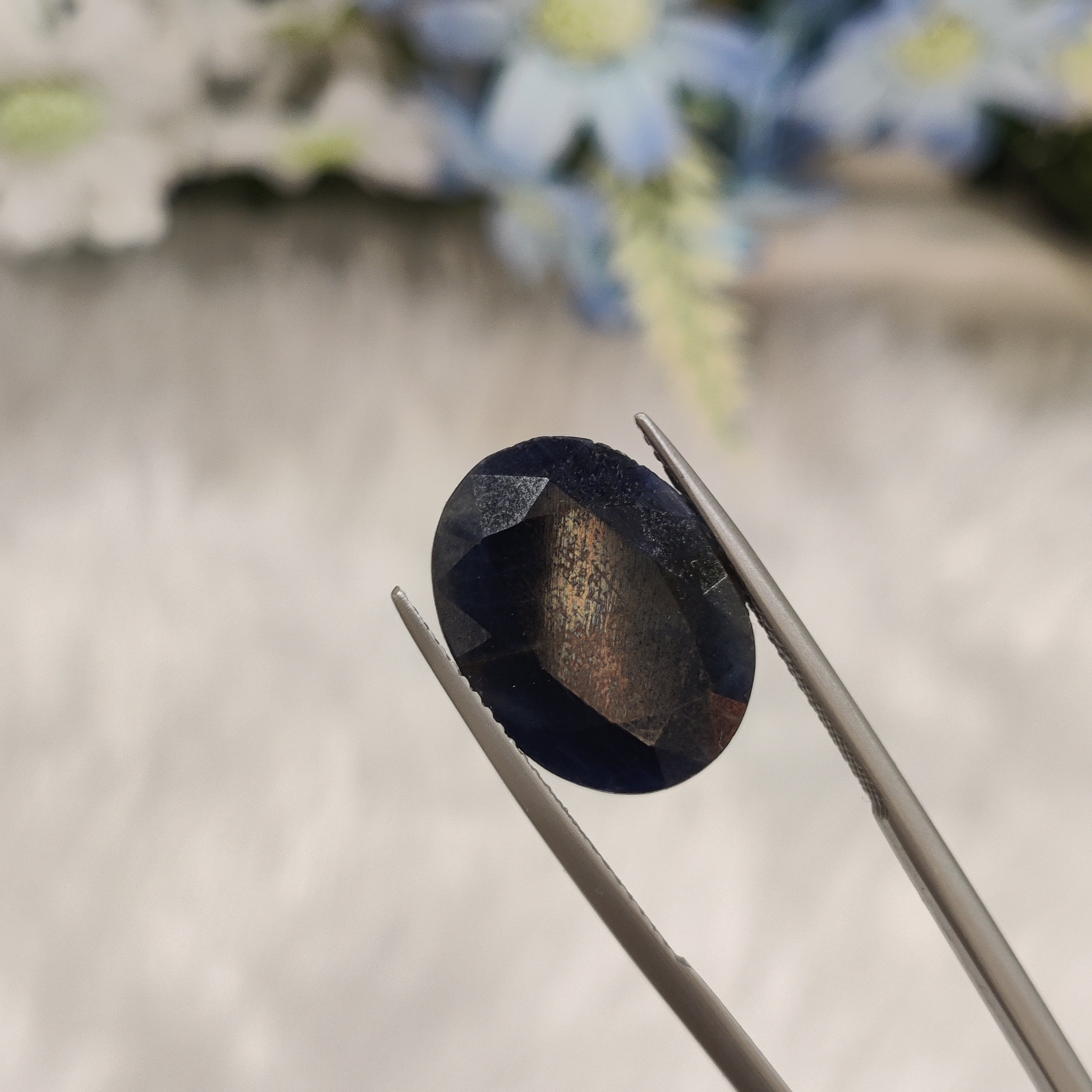 Blue Sapphire | BS 33 | 13.45 Carat