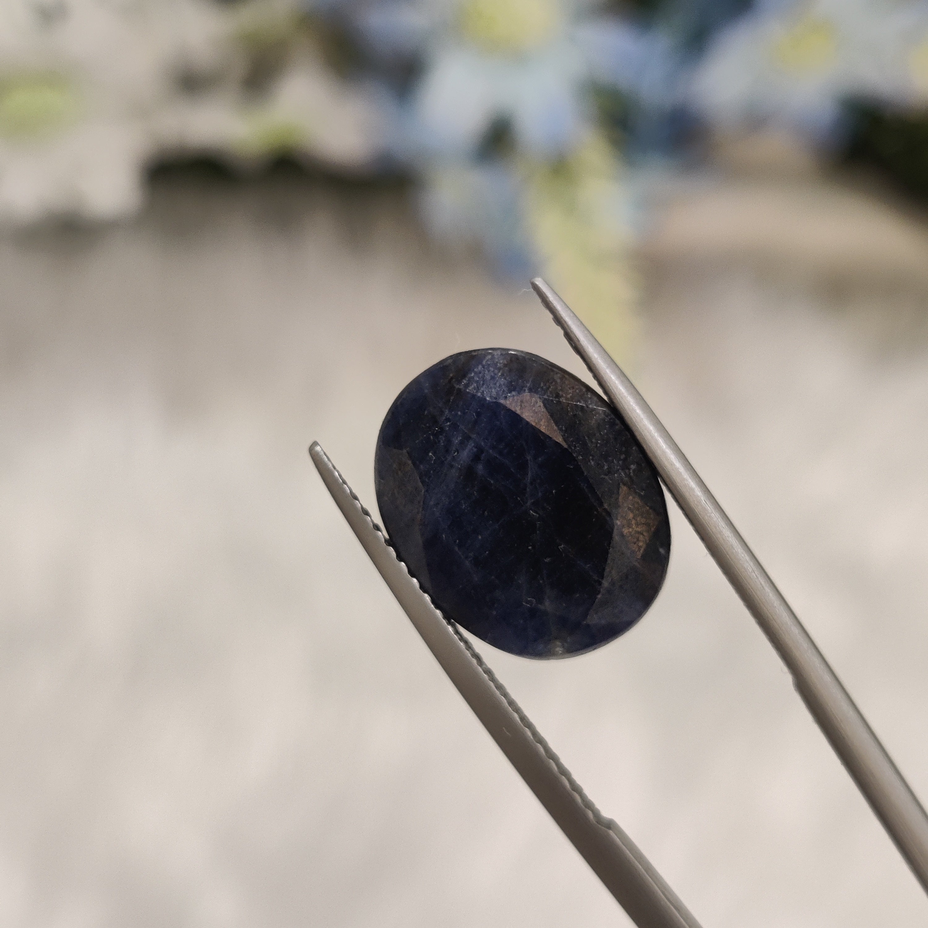 Blue Sapphire | BS 31 | 13.58 Carat