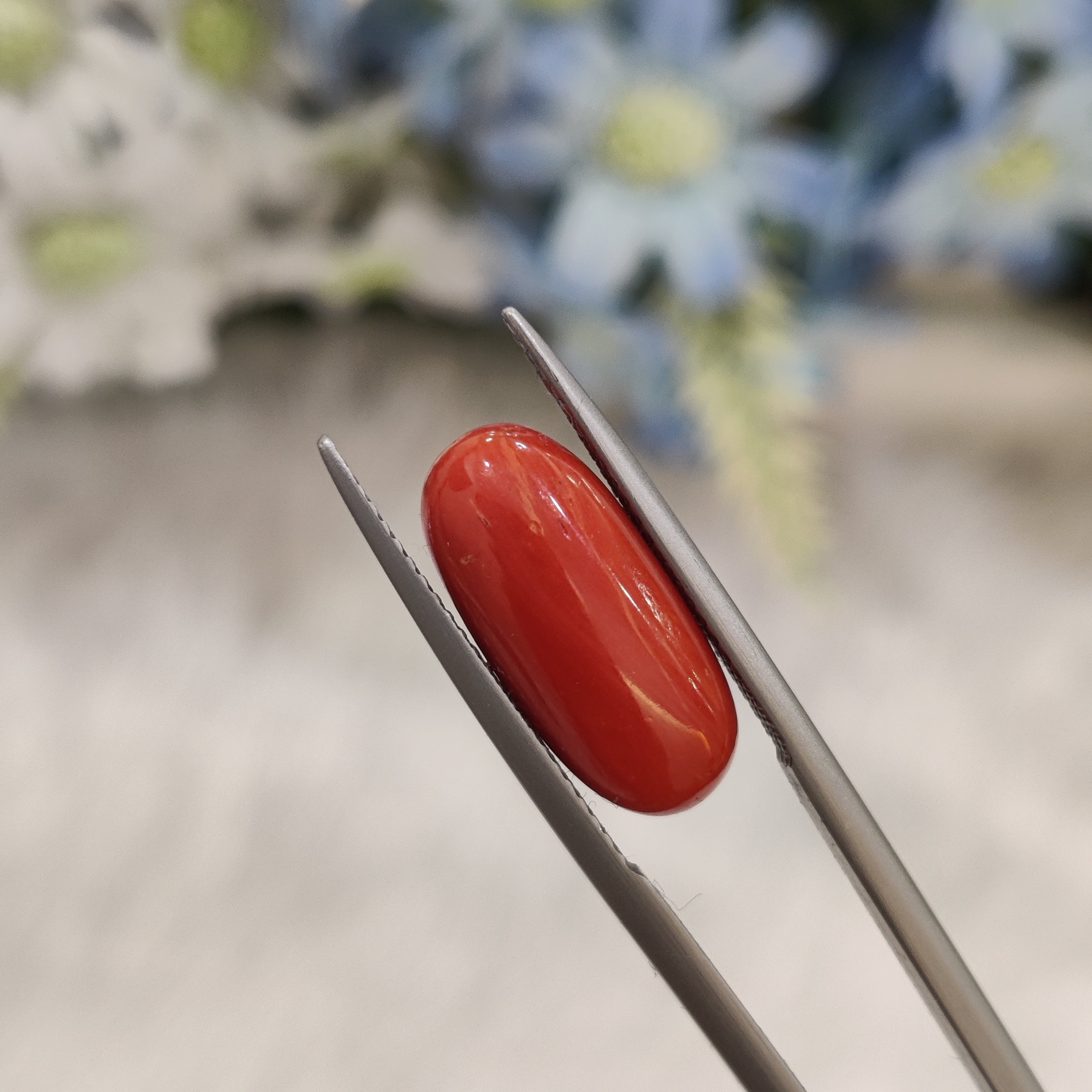 Coral | CORAL 102 | 8.17 Carat