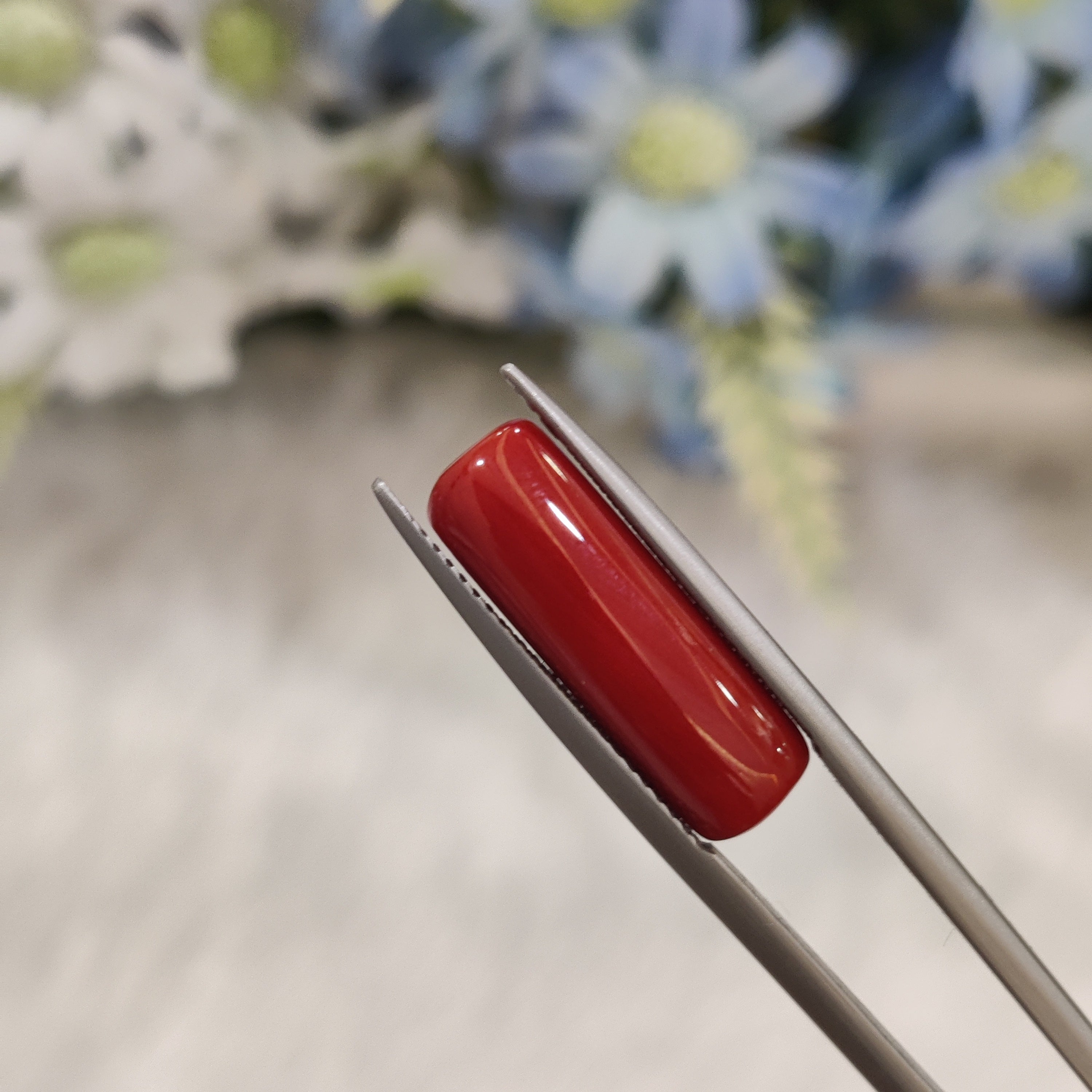 Coral | CORAL 101 | 8.05 Carat