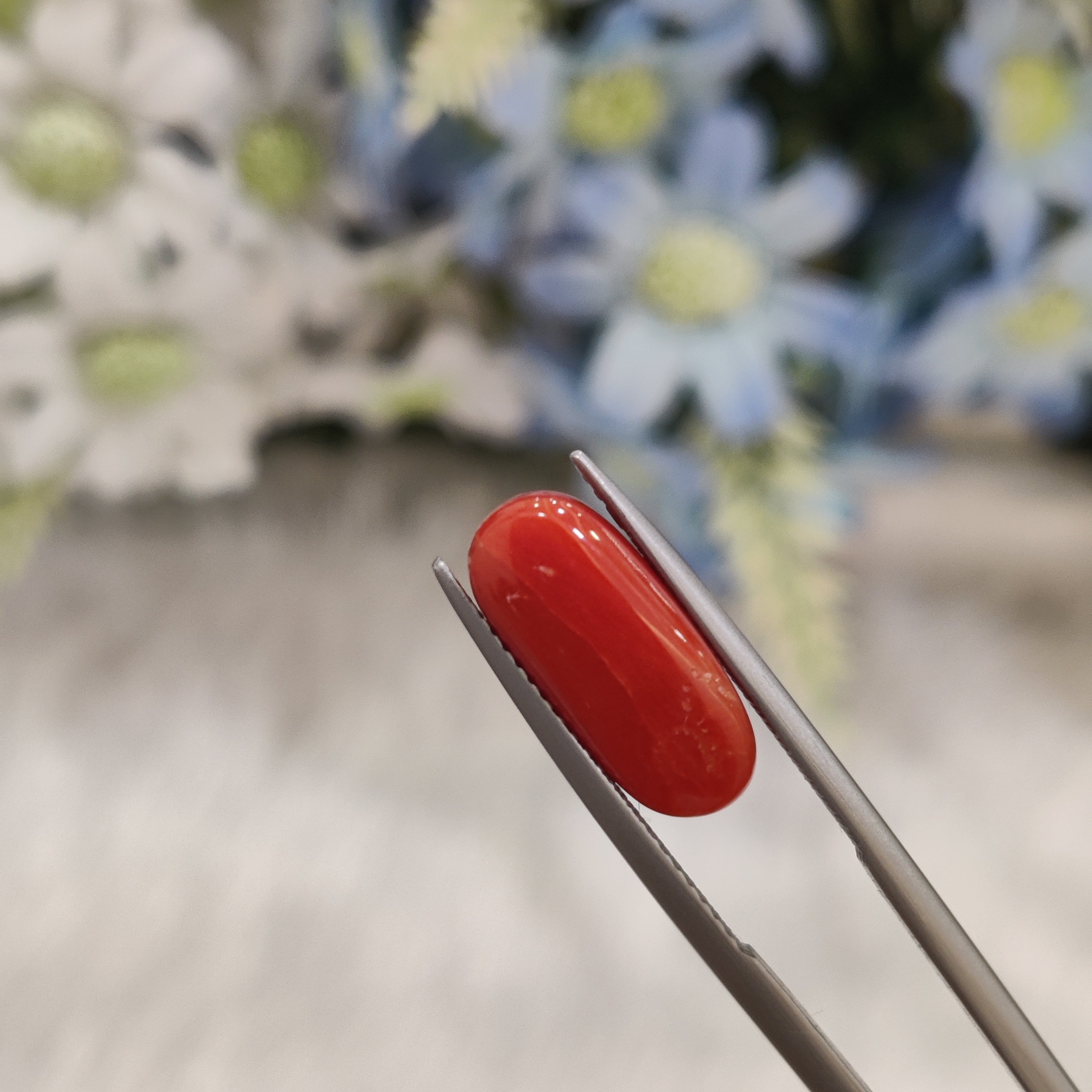 Coral | CORAL 88 | 5.53 Carat