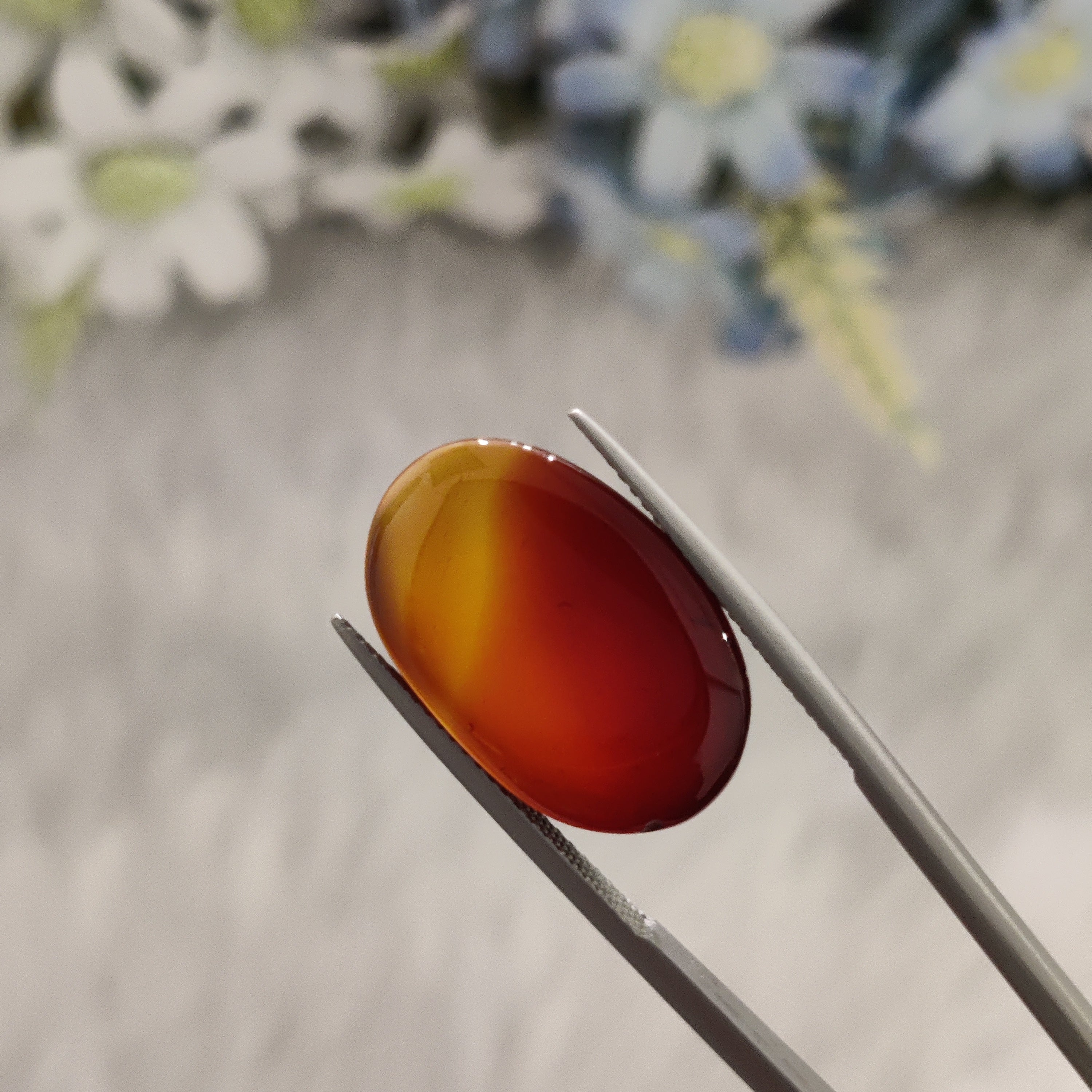 Carnelian | CNL 70 | 16.57 Carat