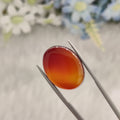 Carnelian | CNL 72 | 18.14 Carat