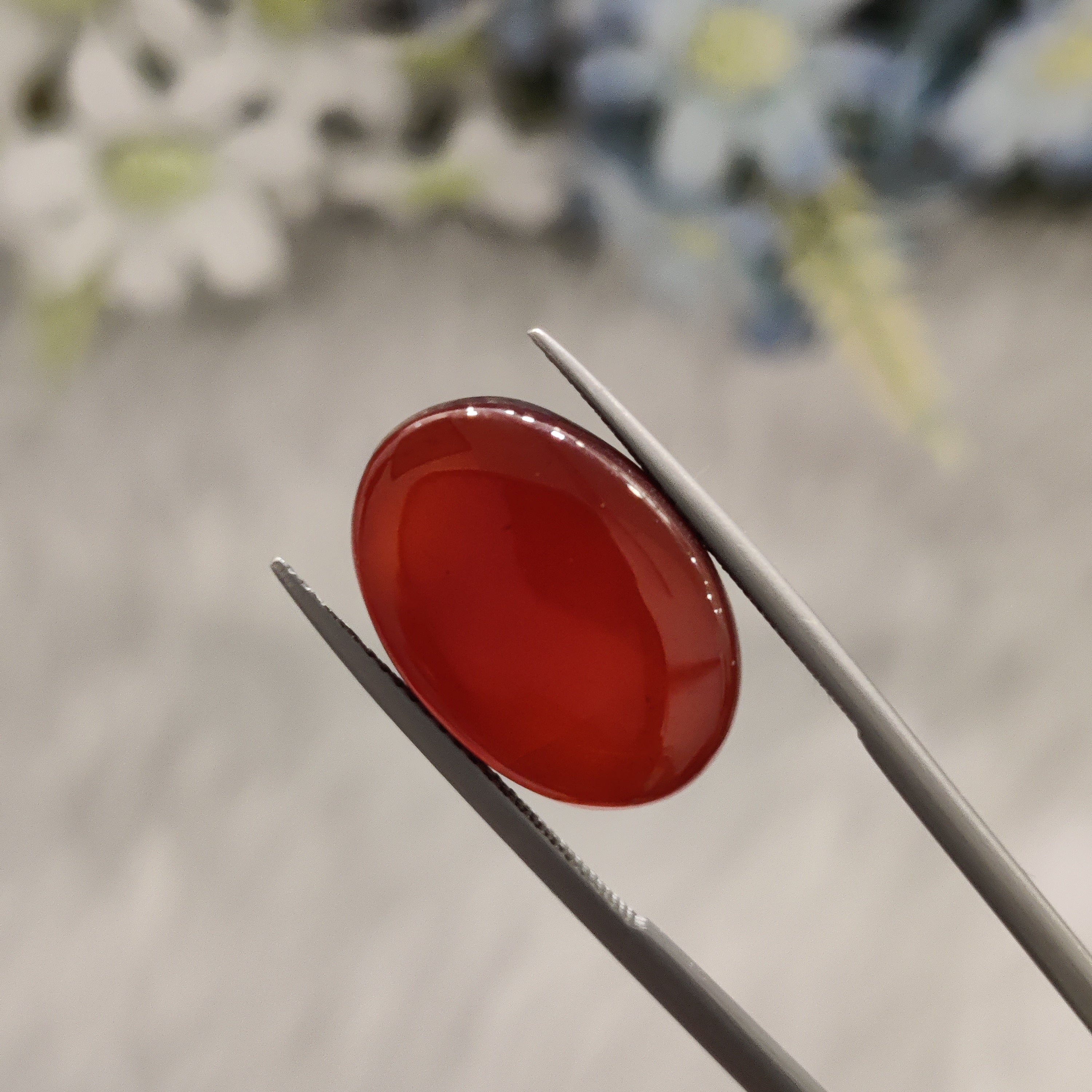 Carnelian | CNL 49 | 11.86 Carat