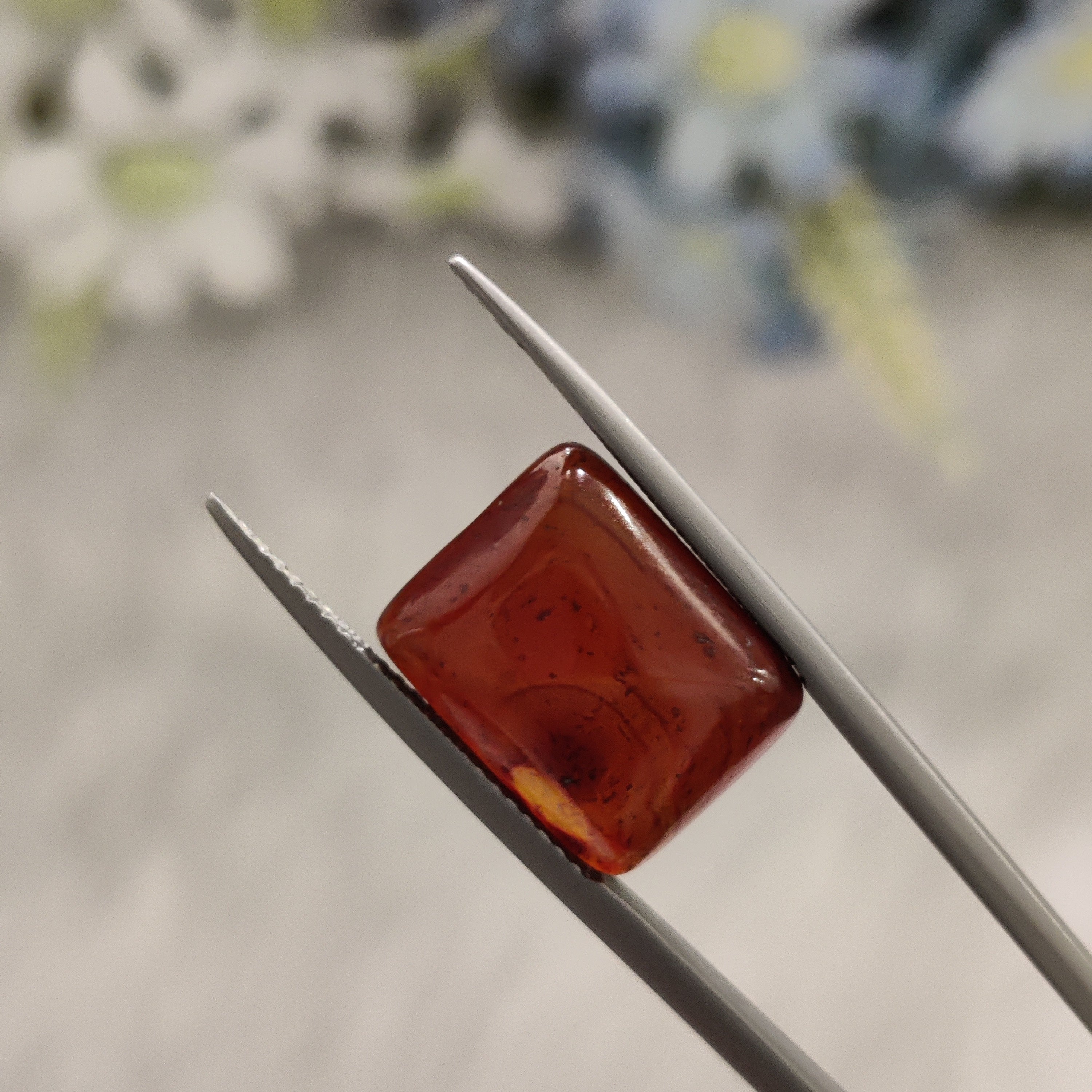 Carnelian | CNL 47 | 11.16 Carat