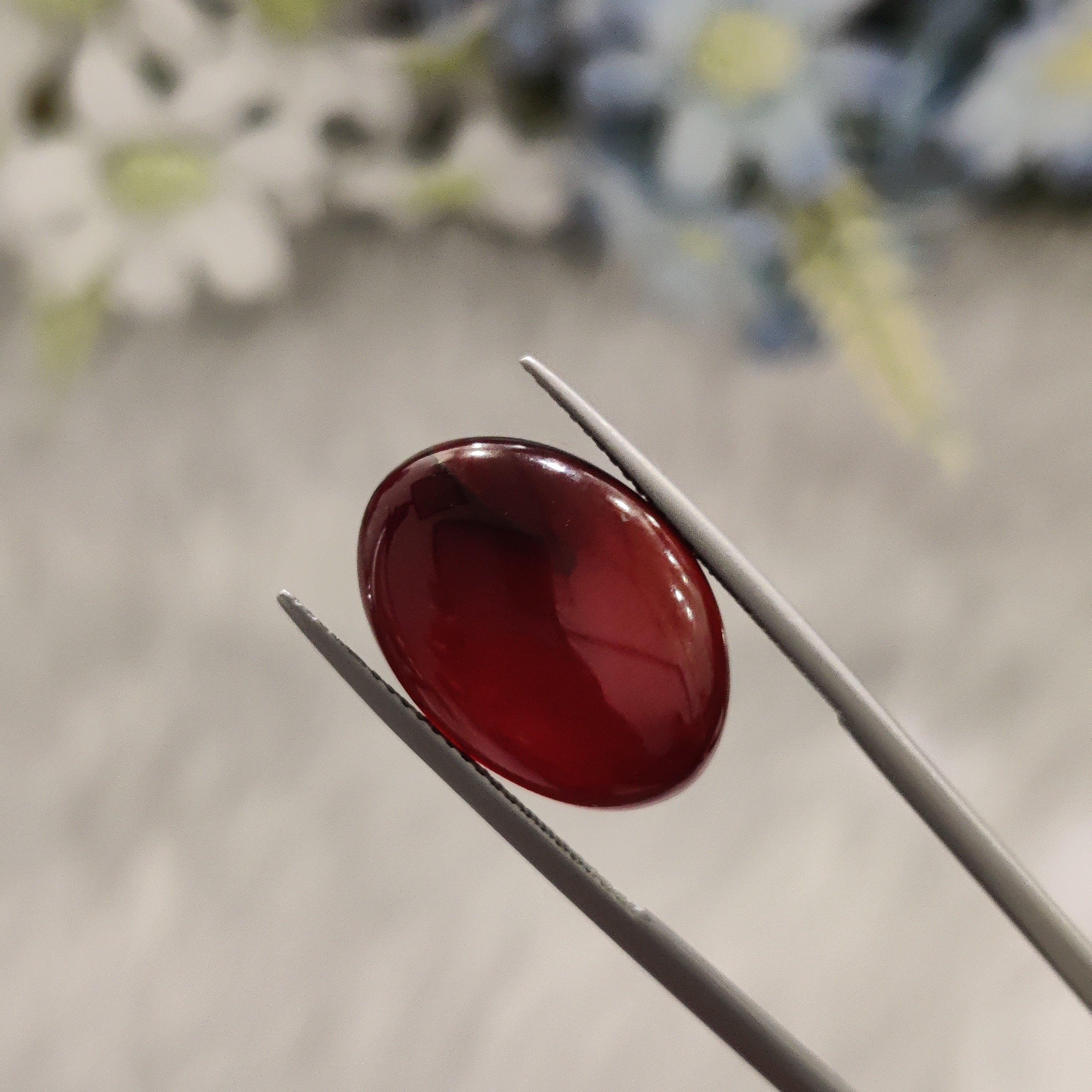 Carnelian | CNL 48 | 11.53 Carat