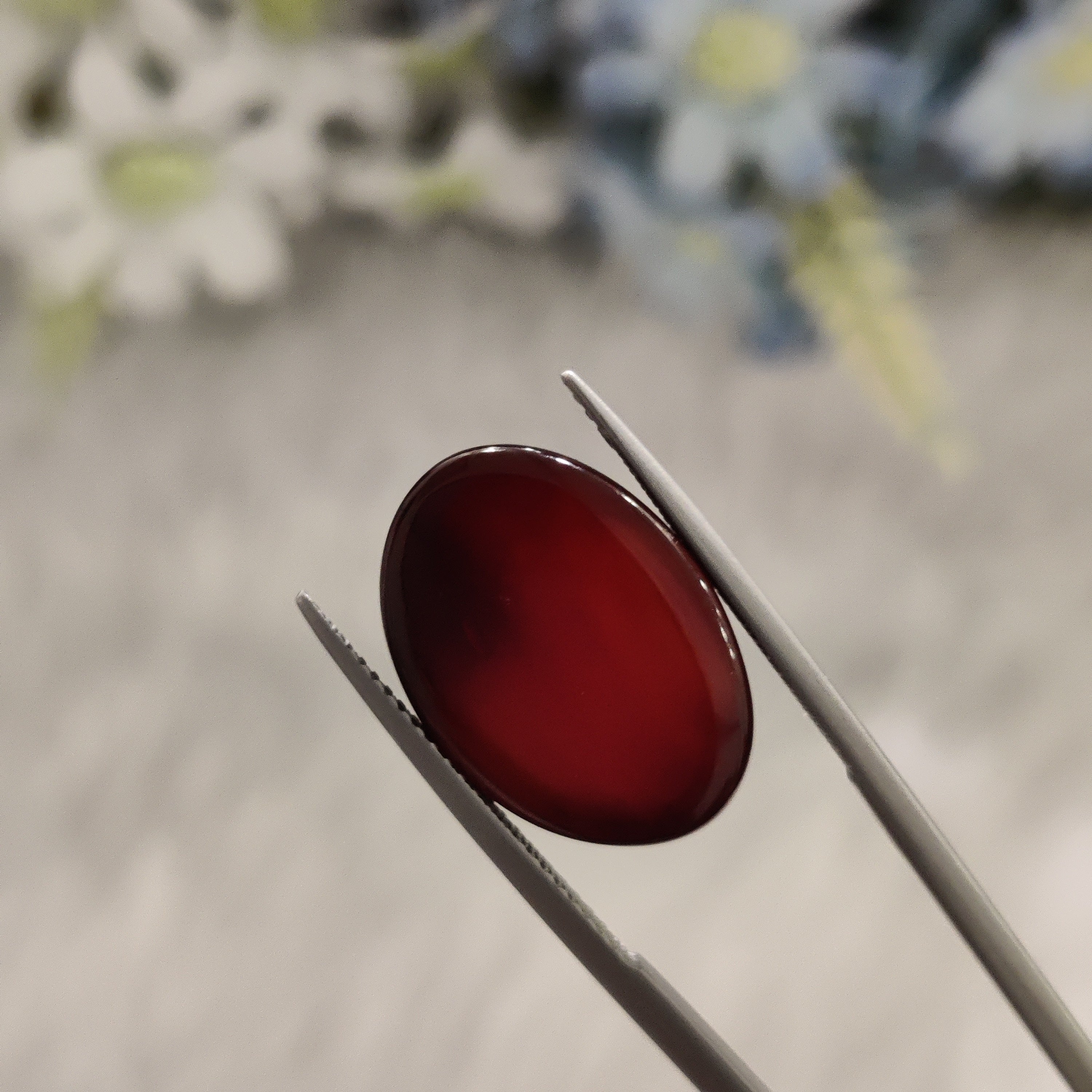 Carnelian | CNL 48 | 11.53 Carat