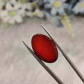Carnelian | CNL 56 | 14.34 Carat