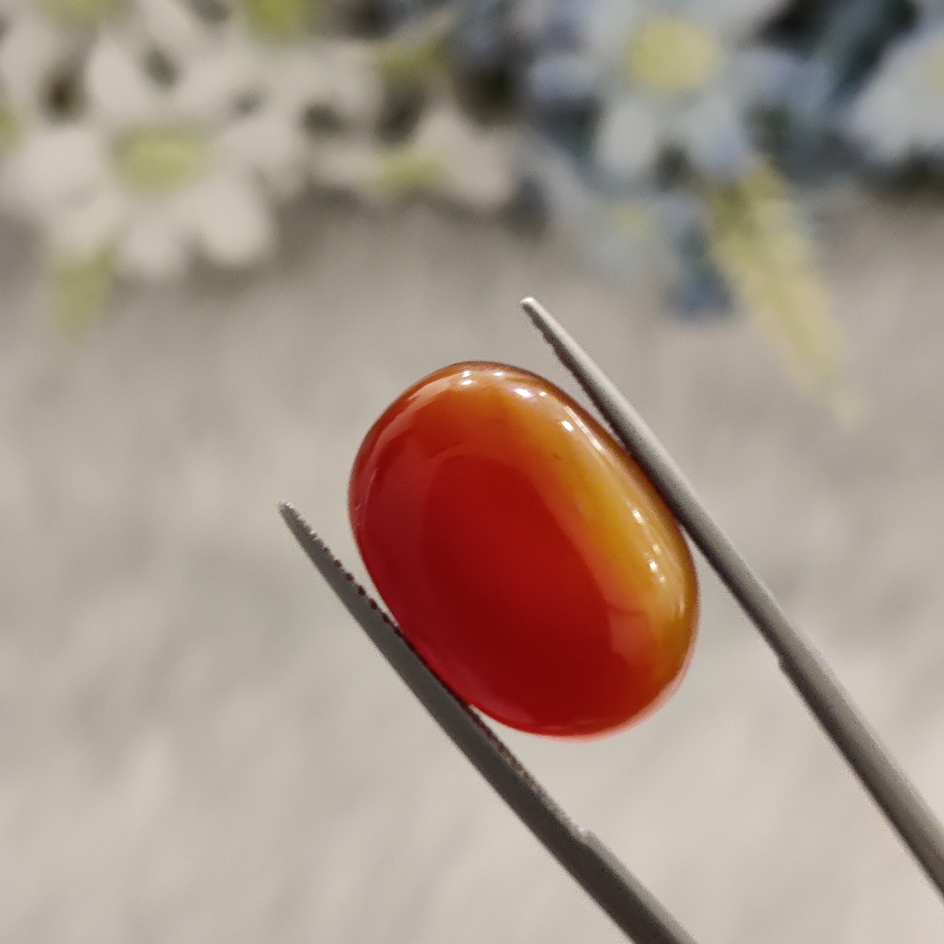 Carnelian | CNL 55 | 14.14 Carat