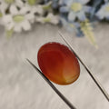 Carnelian | CNL 69 | 26.84 Carat