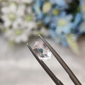 Morganite | MG 5 | 1.41 Carat