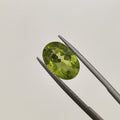 Peridot | Peridot 2 | 4.23 Carat