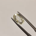 Yellow Sapphire | YS 255 | 3.3 Carat