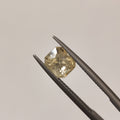 Yellow Sapphire | YS 250 | 3 Carat