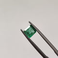 Emerald | EM 391 | 0.91 Carat