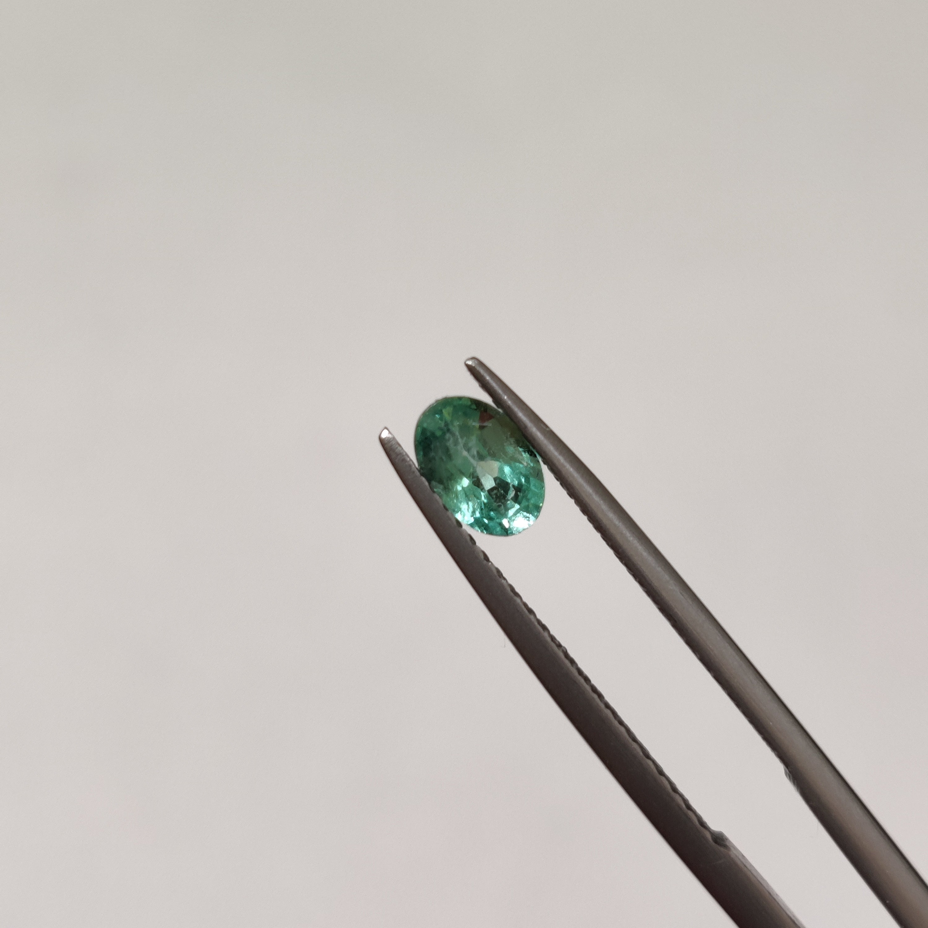 Emerald | EM 355 | 0.54 Carat