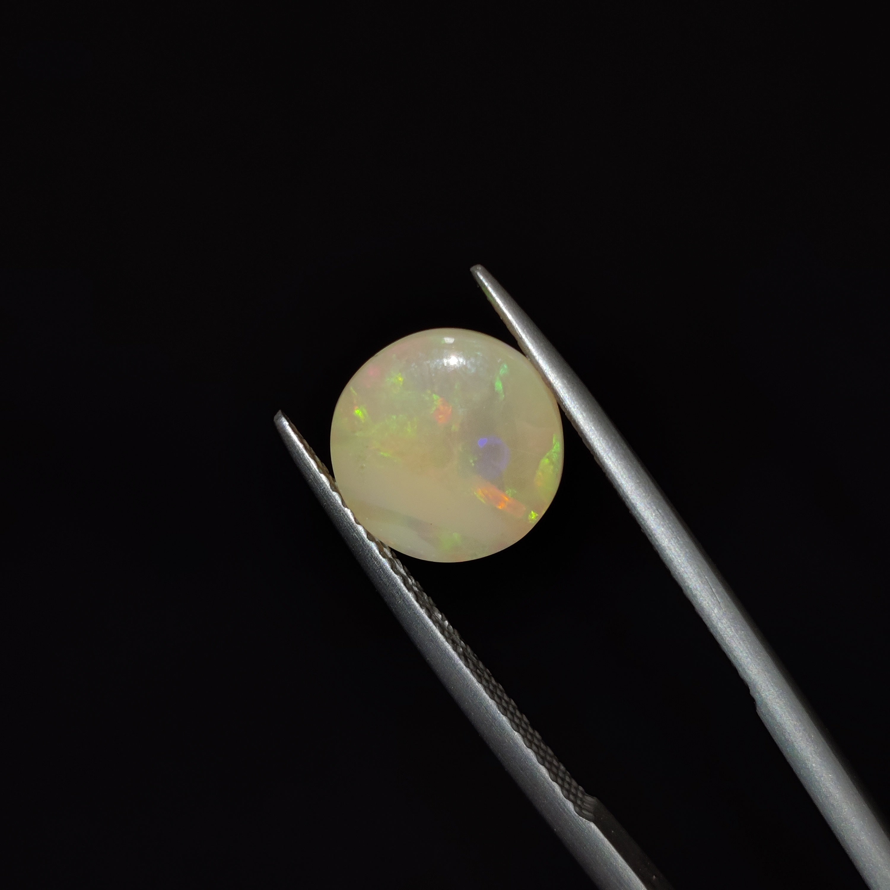 Opal | OPAL 114 | 2.62 Carat