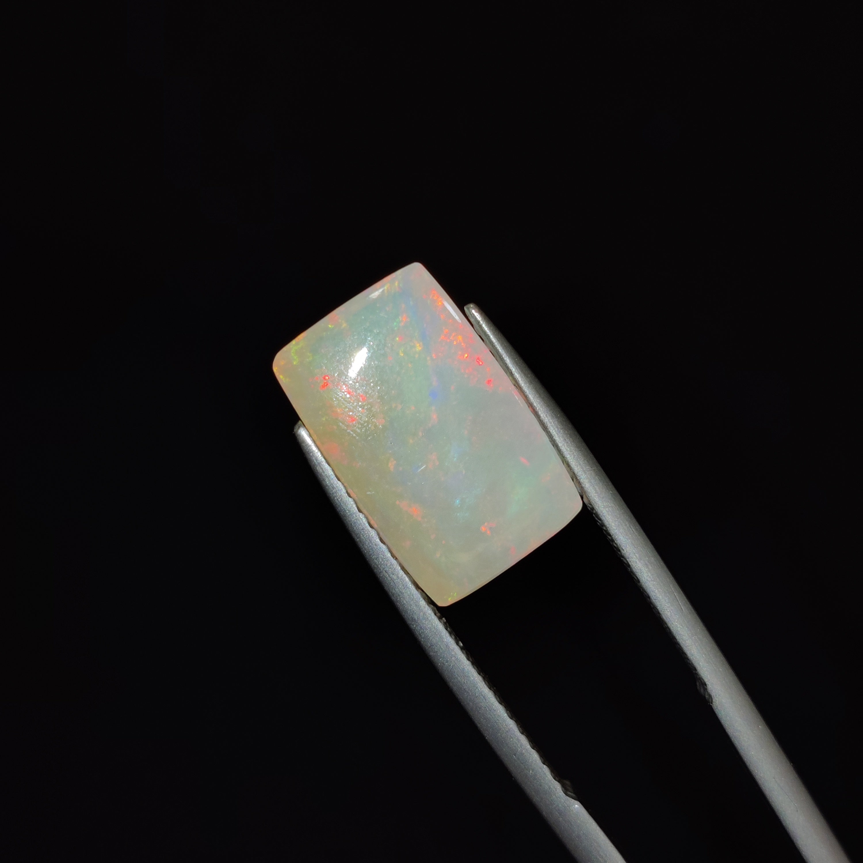 Opal | OPAL 75 | 3.66 Carat