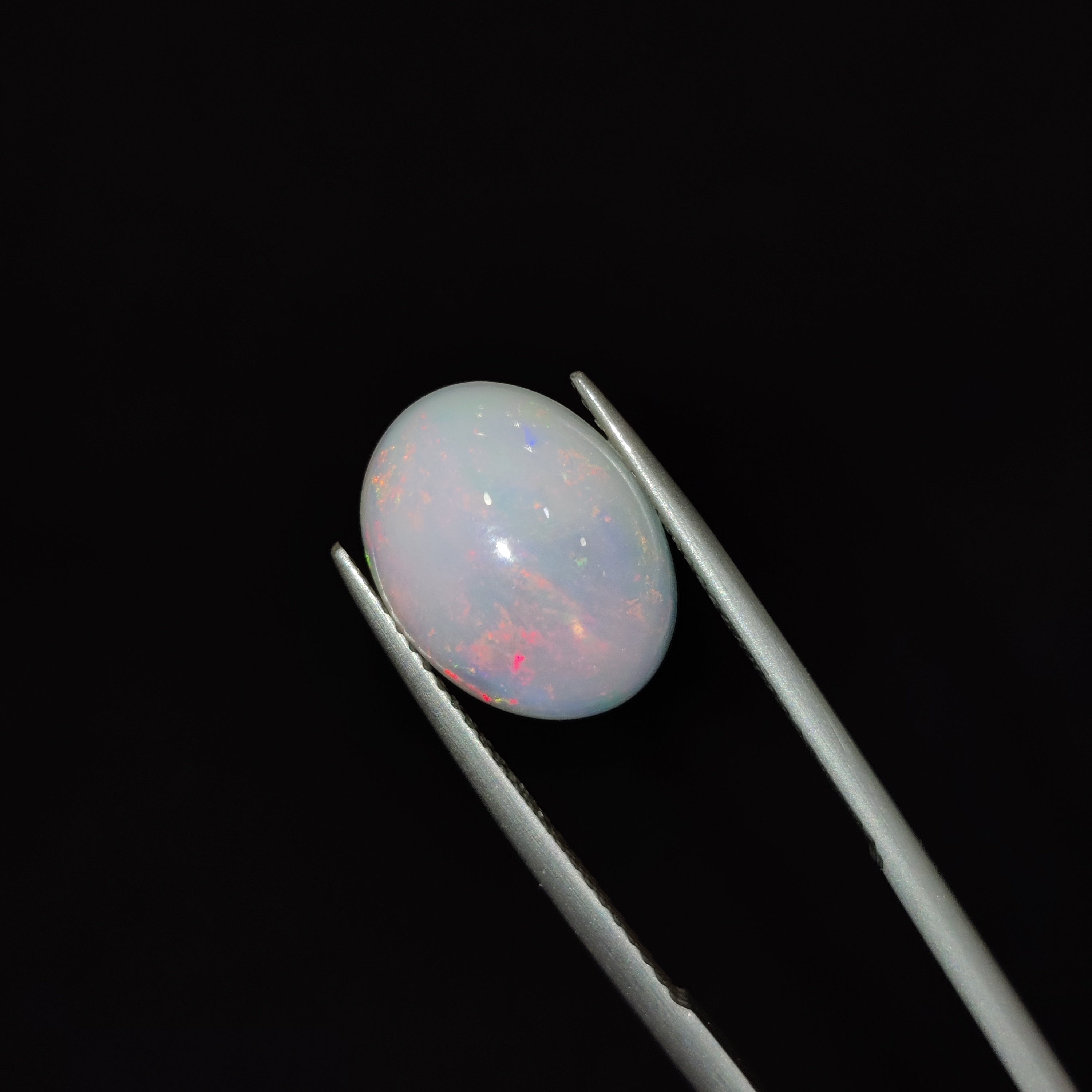 Opal | OPAL 49 | 3.95 Carat