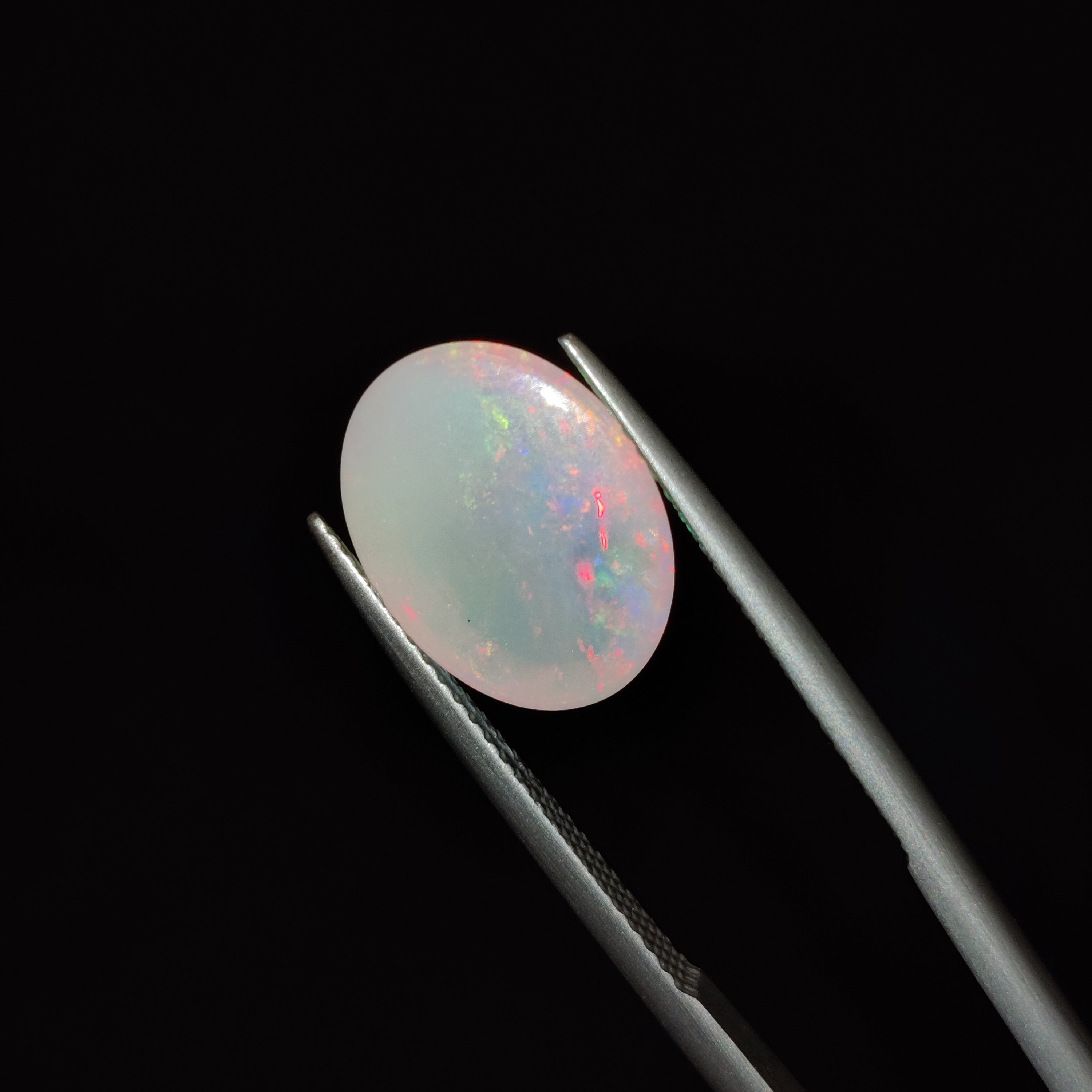 Opal | OPAL 49 | 3.95 Carat