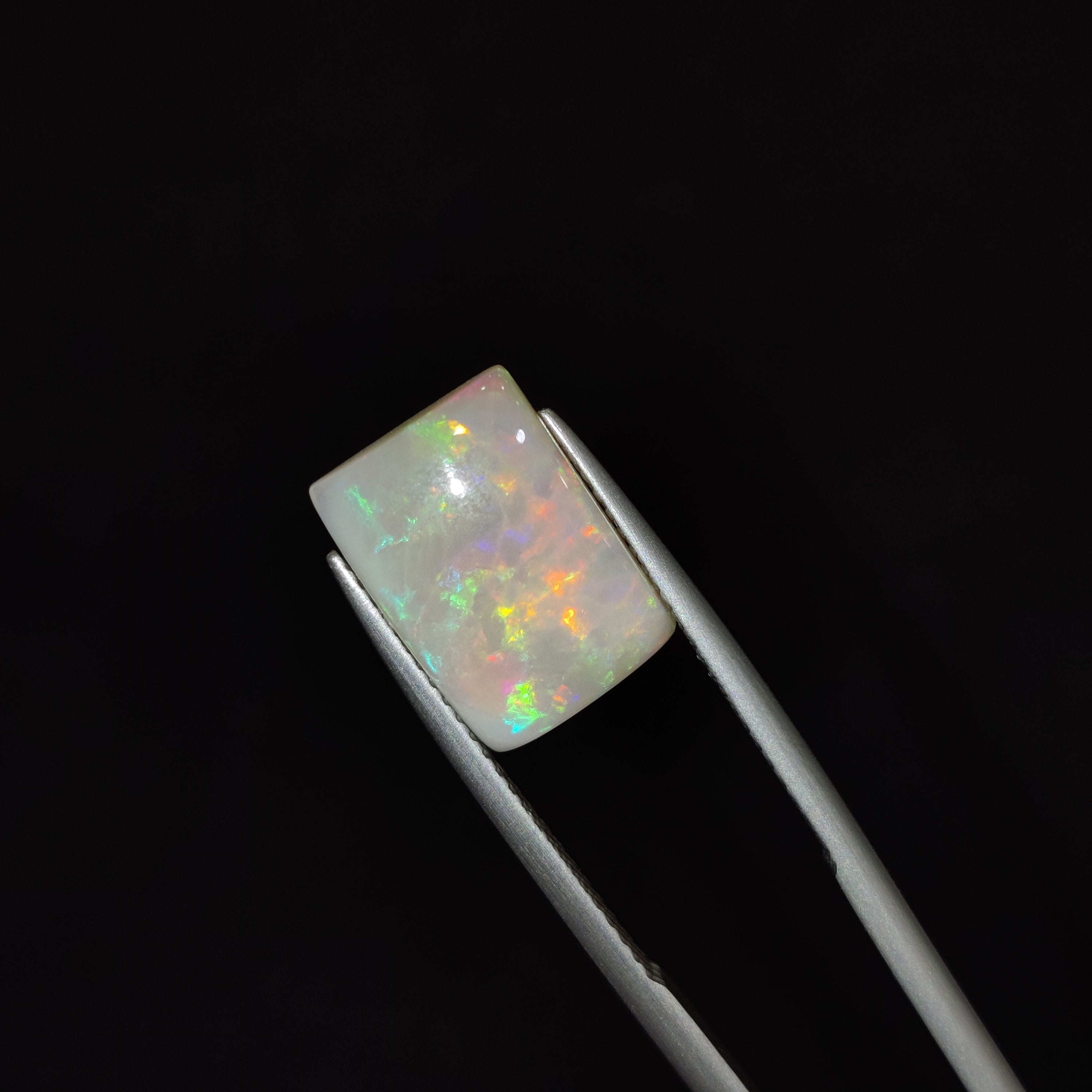Opal | OPAL 77 | 3.59 Carat