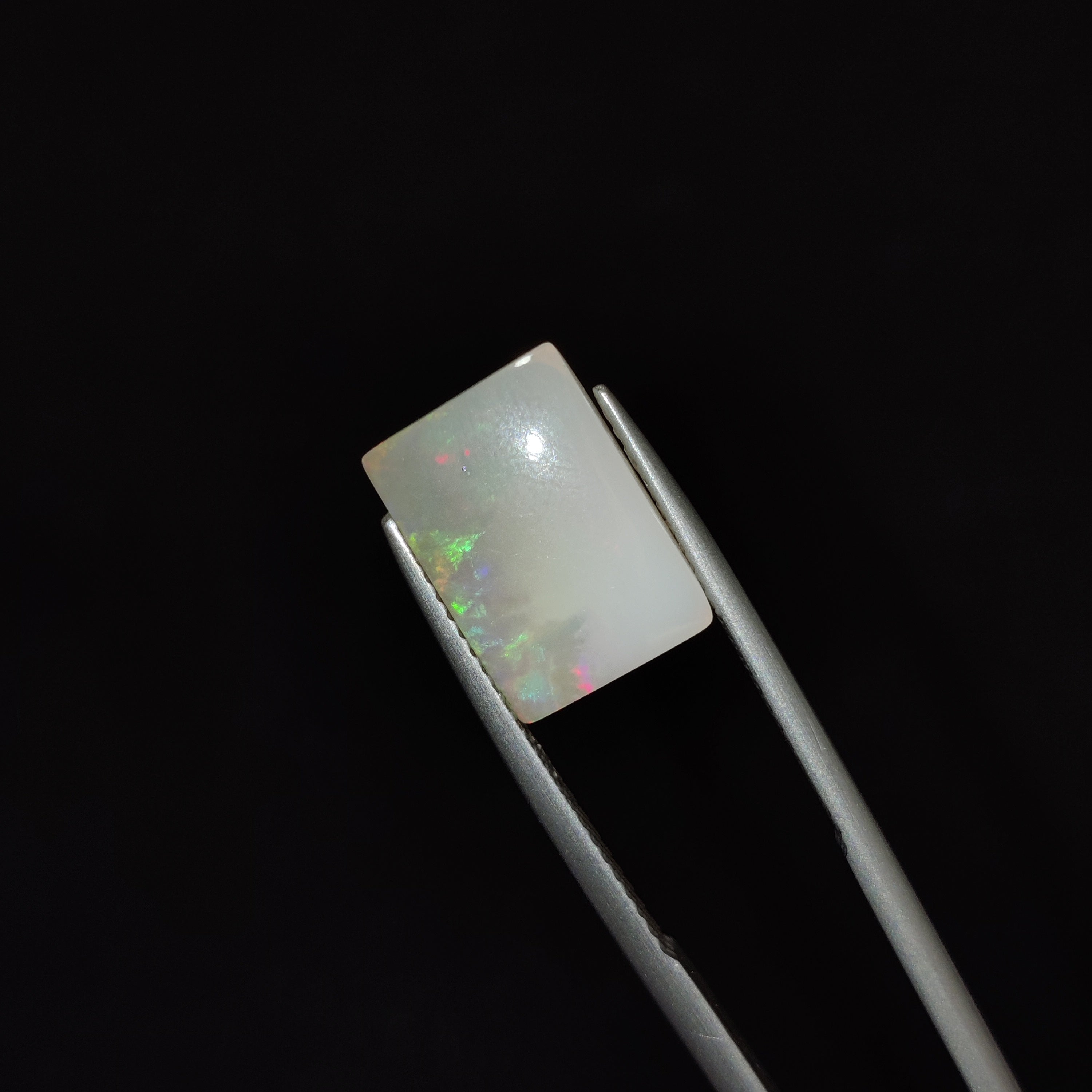 Opal | OPAL 77 | 3.59 Carat