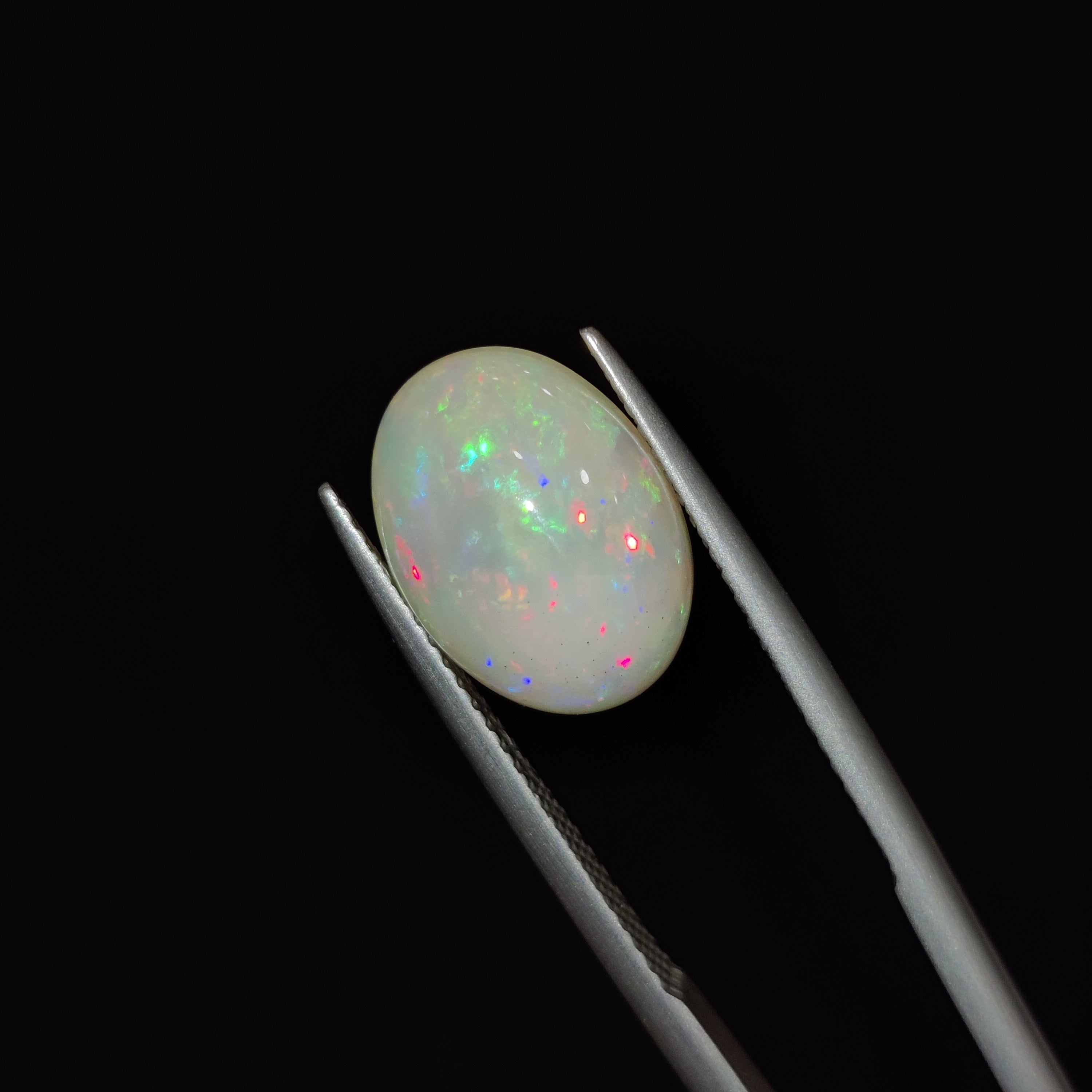 Opal | OPAL 65 | 3.42 Carat