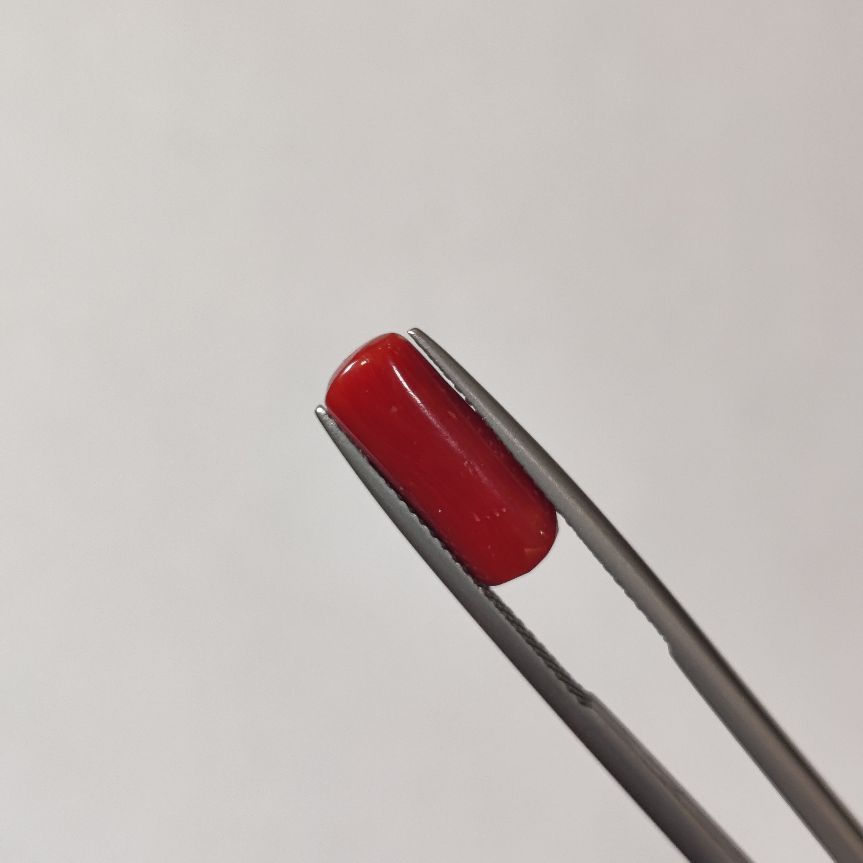 Coral | CORAL 109 | 4.01 Carat