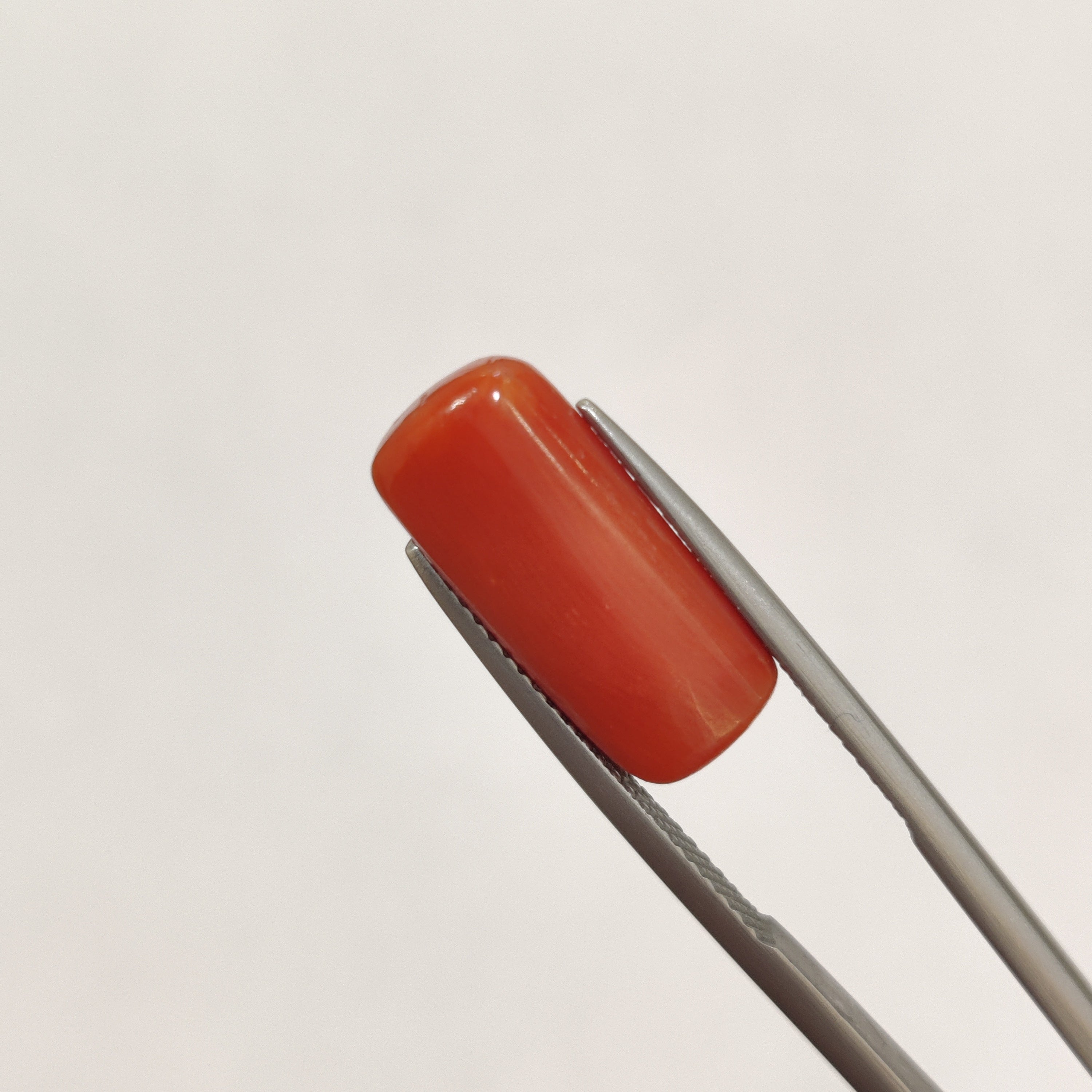 Coral | CORAL 120 | 8.15 Carat