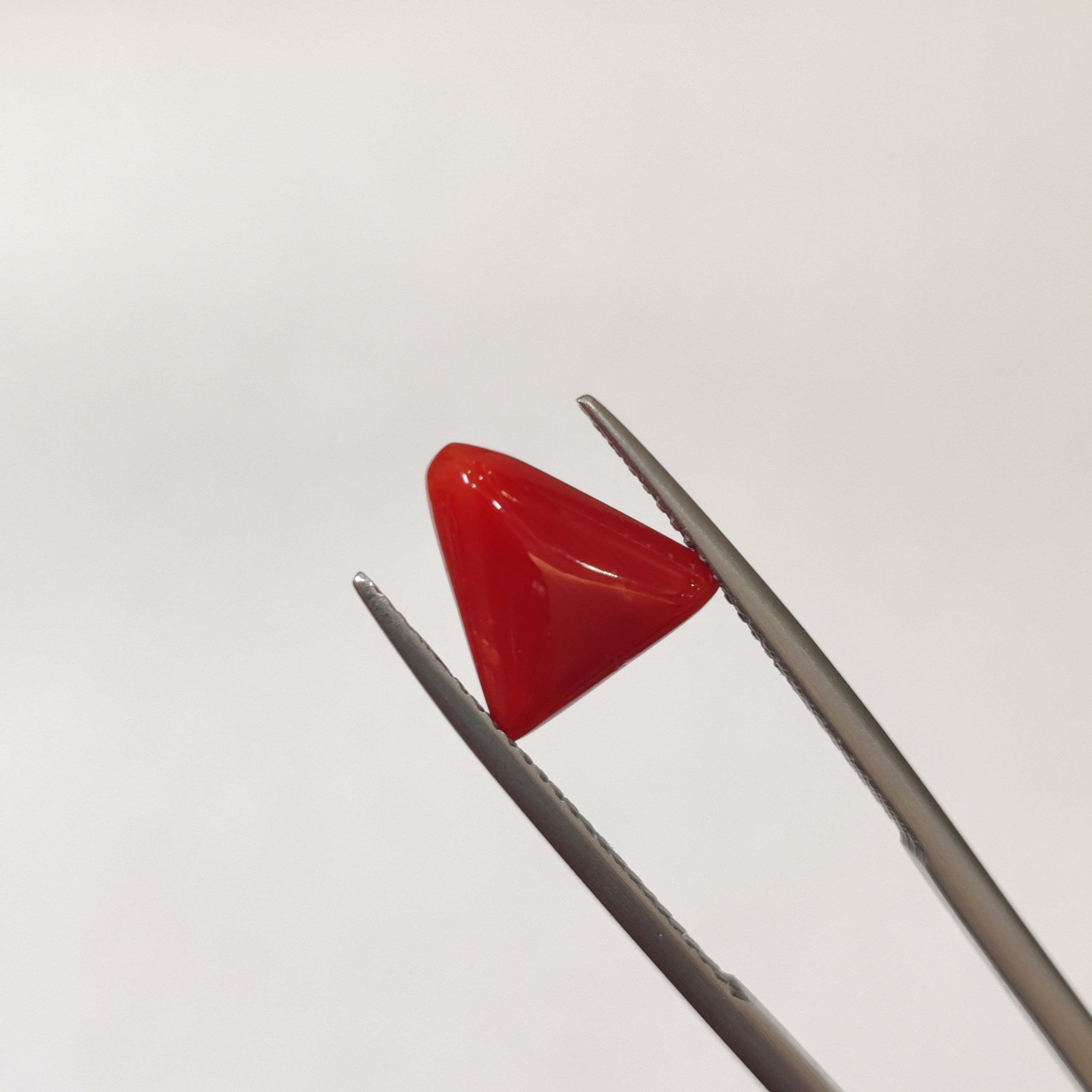 Coral | Coral 132 | 3.05 Carat