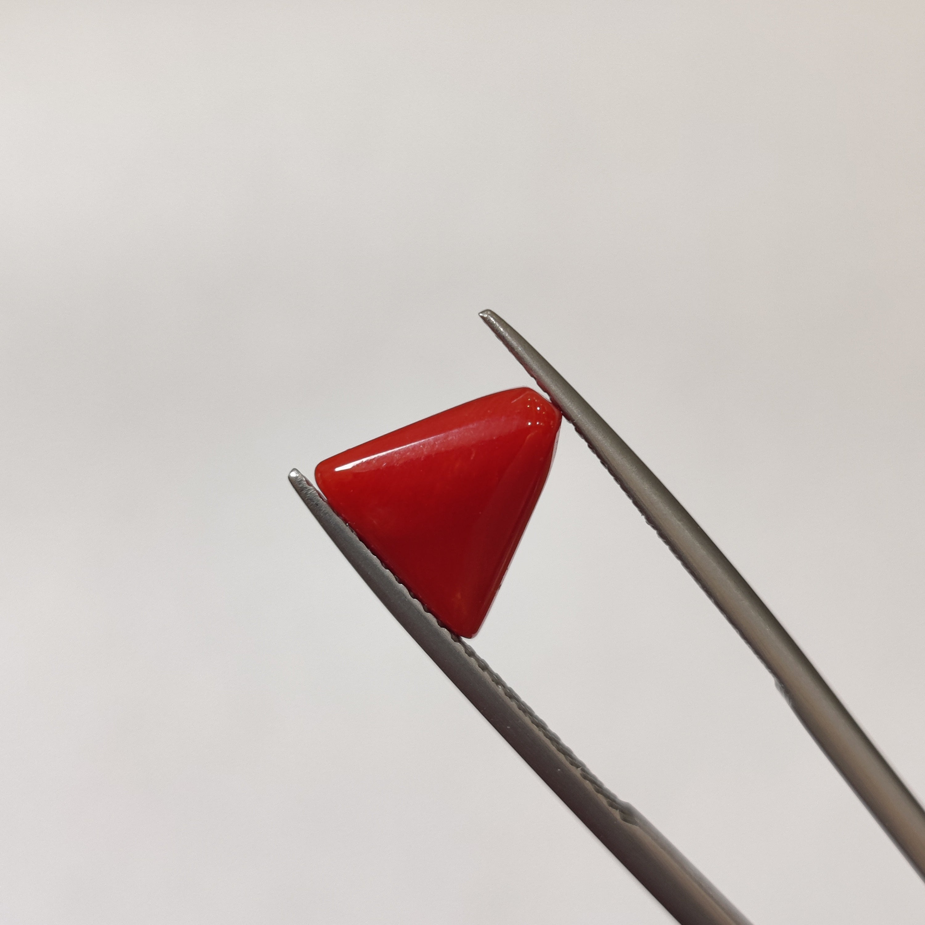 Coral | Coral 131 | 3.3 Carat