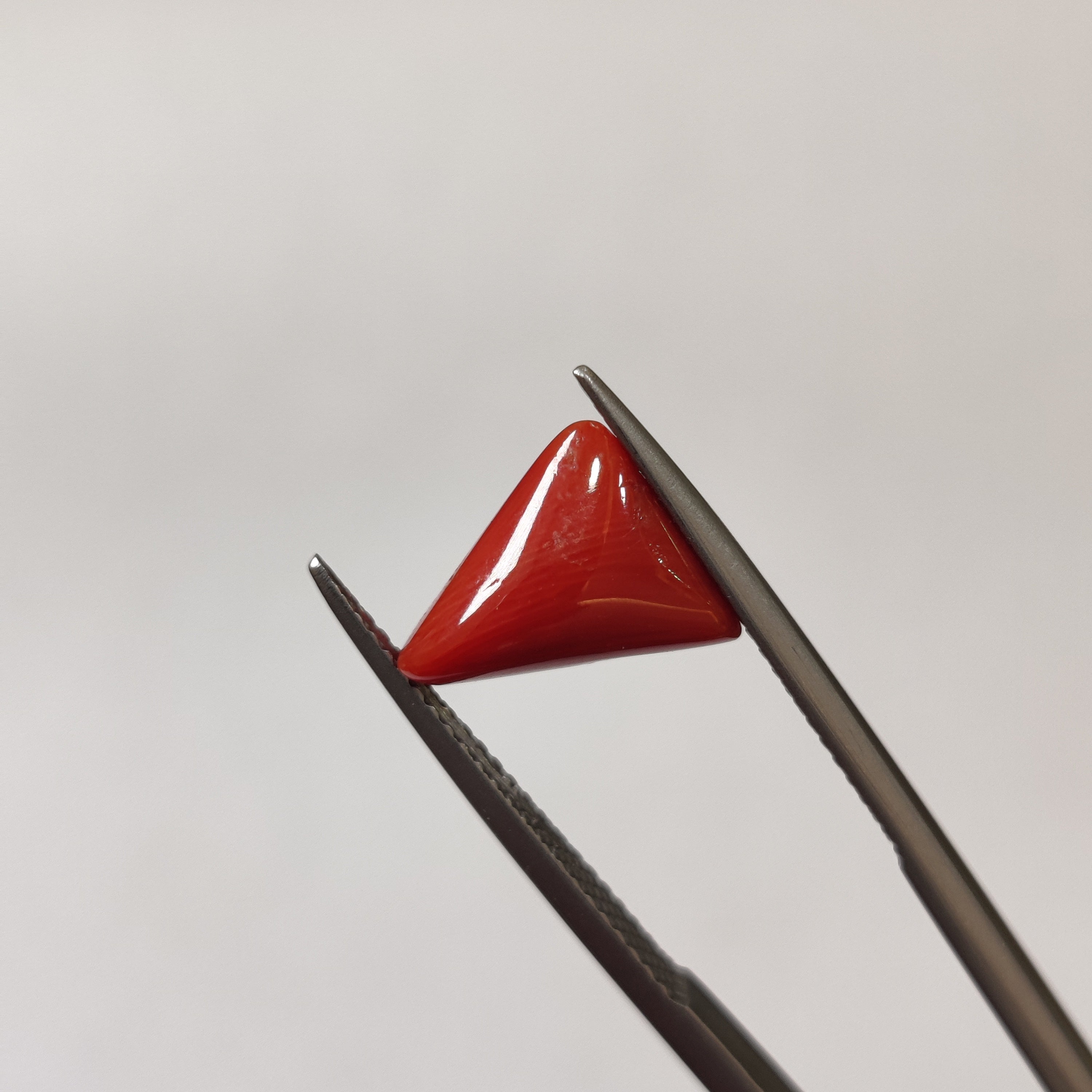 Coral | Coral 126 | 3.21 Carat