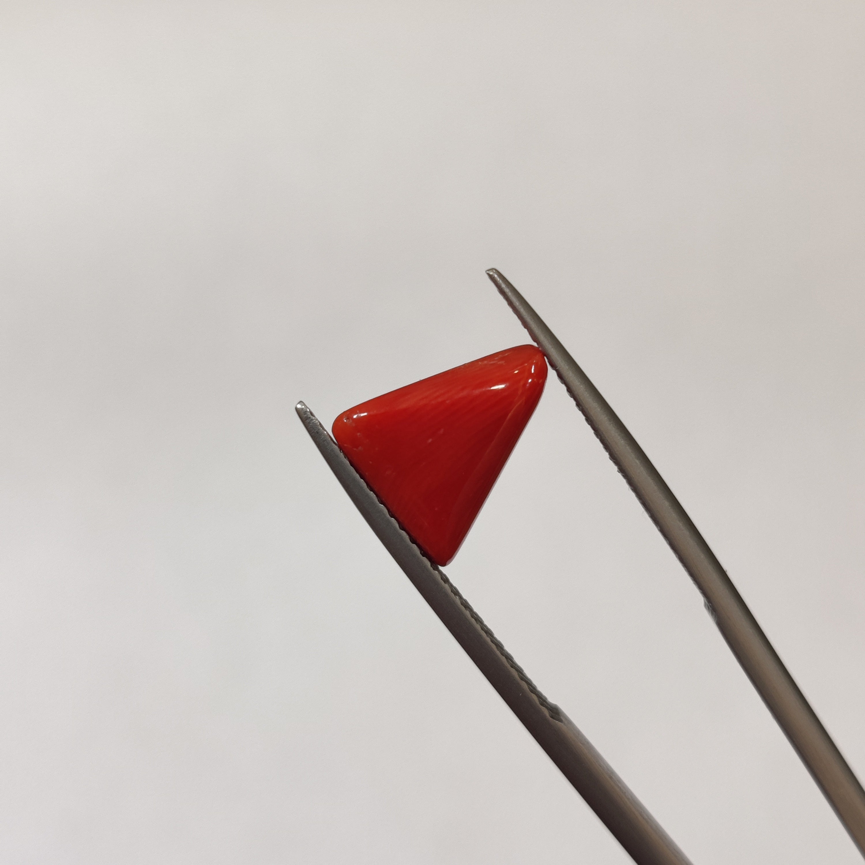 Coral | Coral 126 | 3.21 Carat