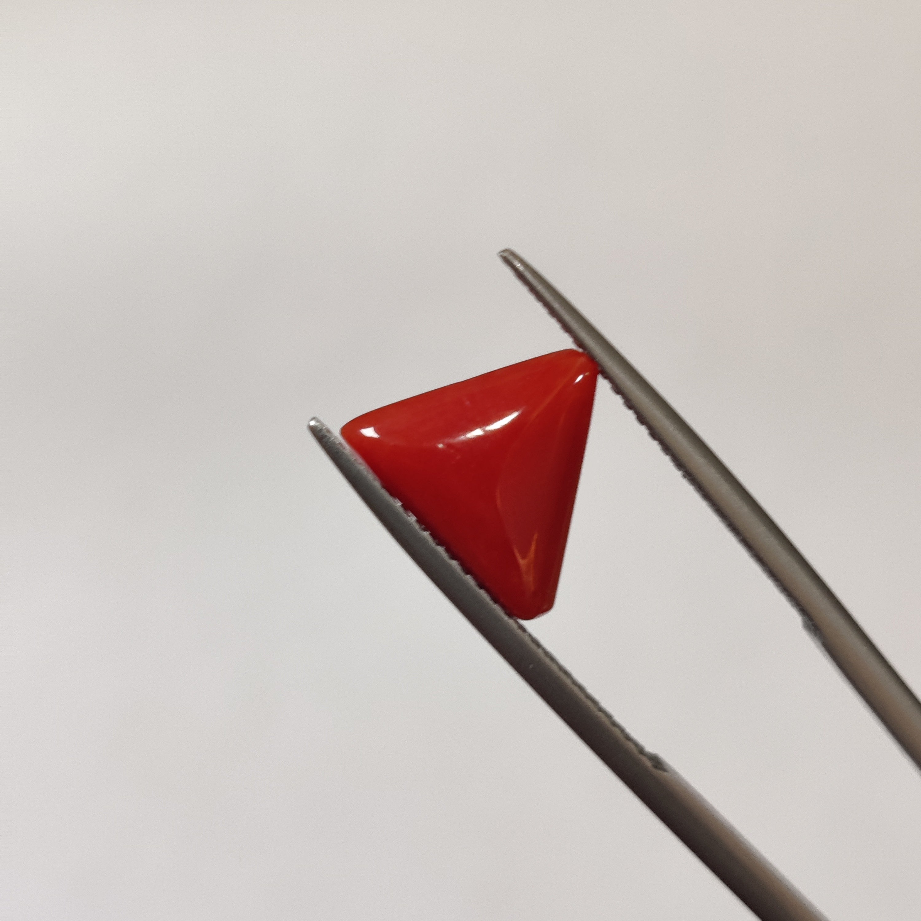 Coral | Coral 123 | 3.23 Carat