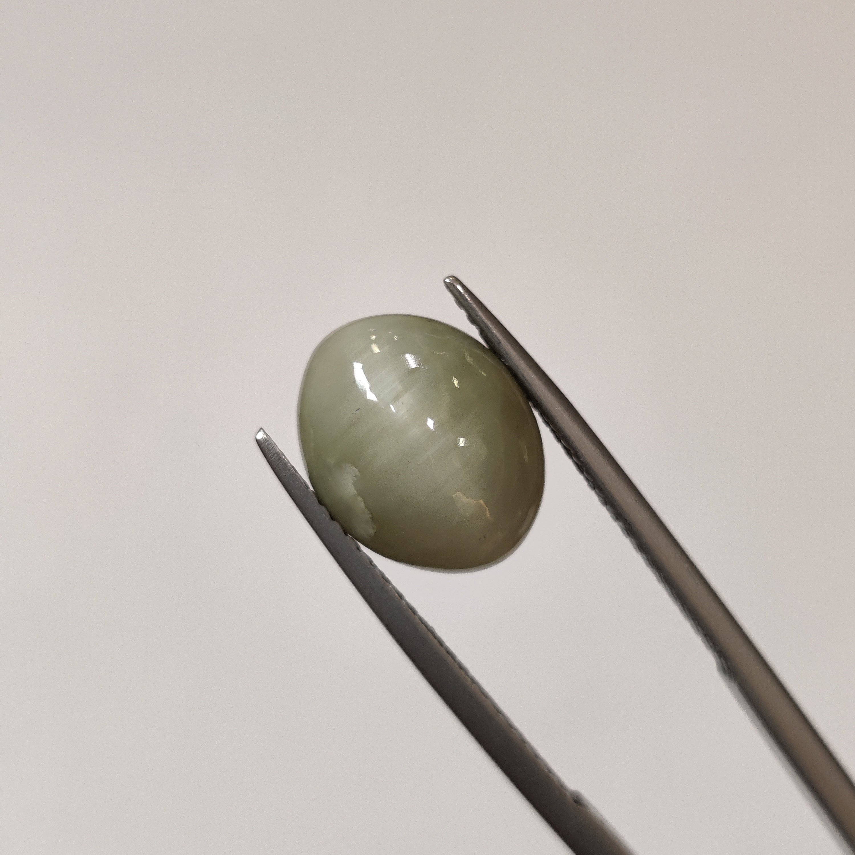 Cats Eye | CE 15 | 5.94 Carat