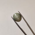 Cats Eye | CE 16 | 5.54 Carat