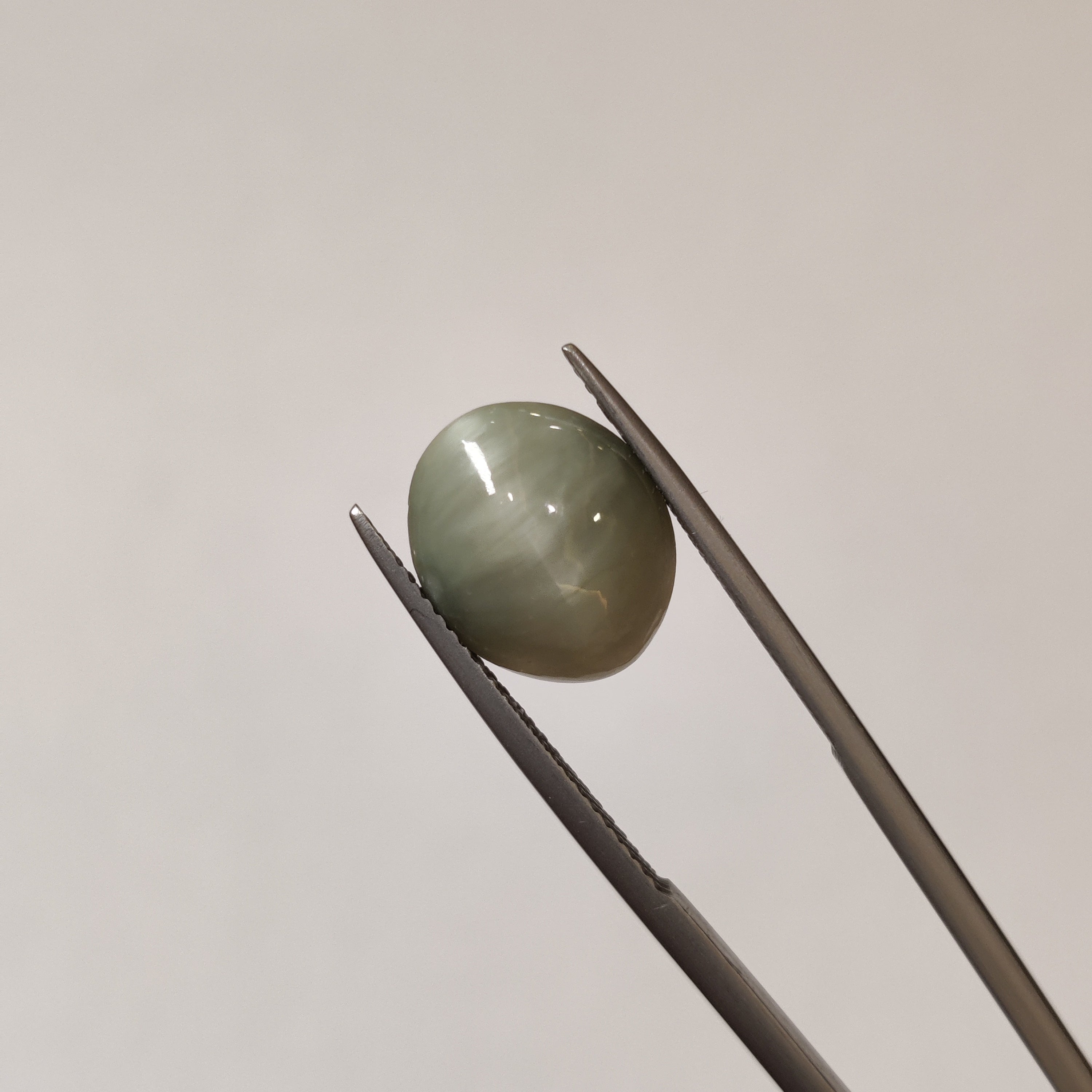 Cats Eye | CE 16 | 5.54 Carat