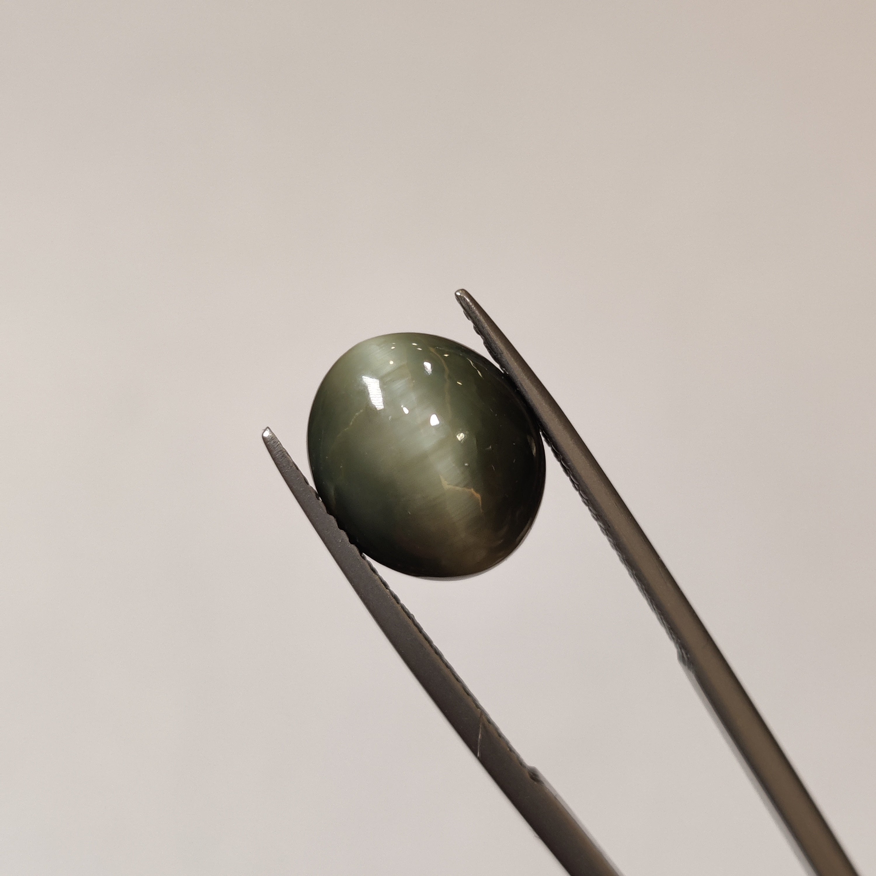 Cats Eye | CE 45 | 6.84 Carat