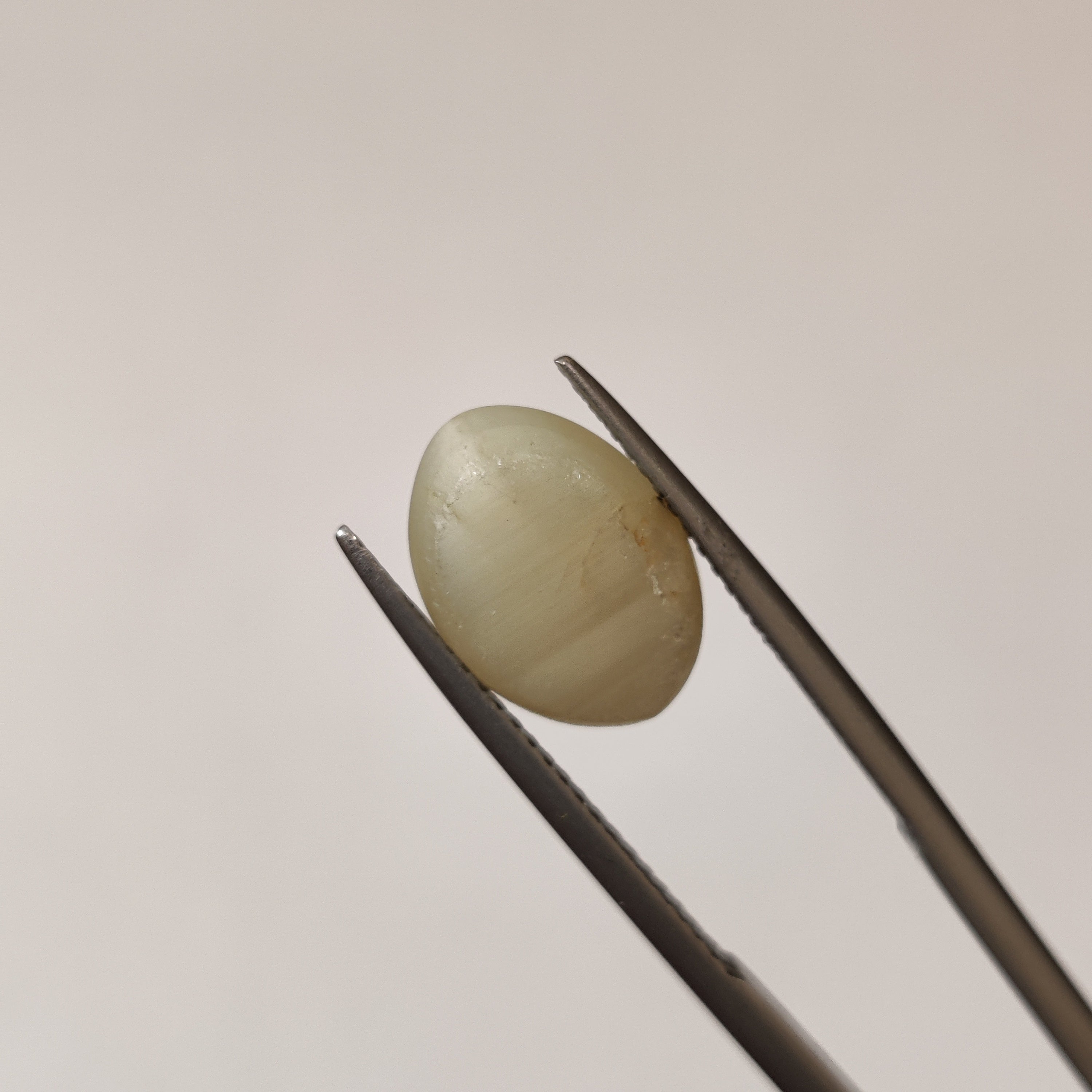 Cats Eye | CE 65 | 5.21 Carat