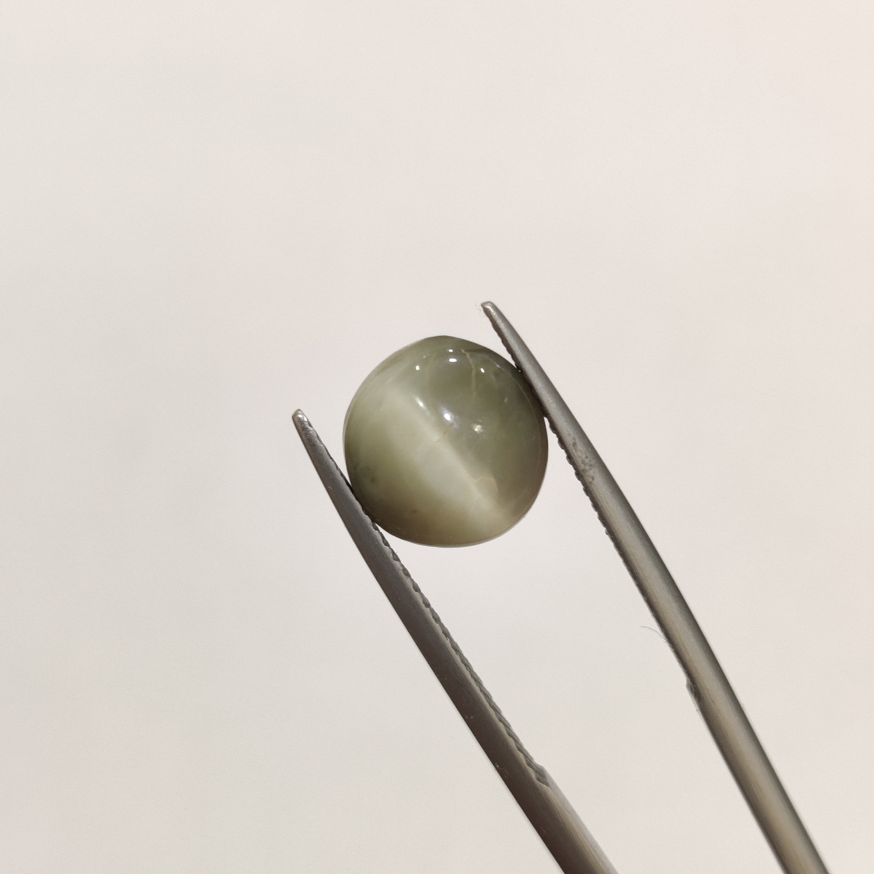 Cats Eye | CE 75 | 4.51 Carat