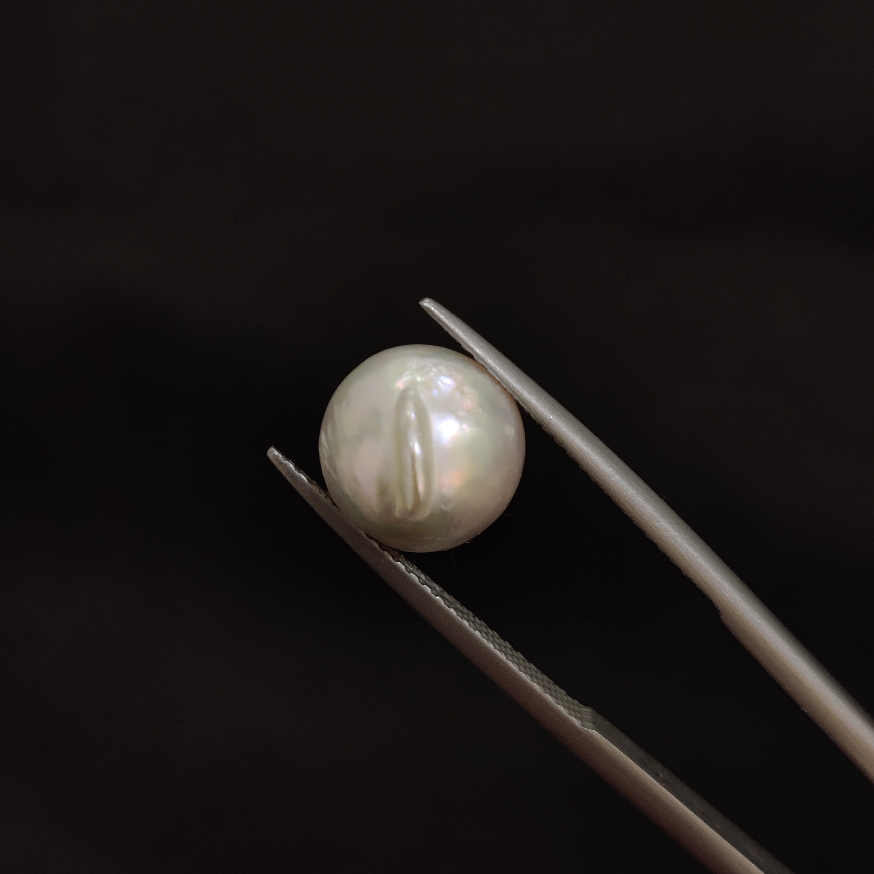 Pearl | Pearl 73 | 7.03 Carat