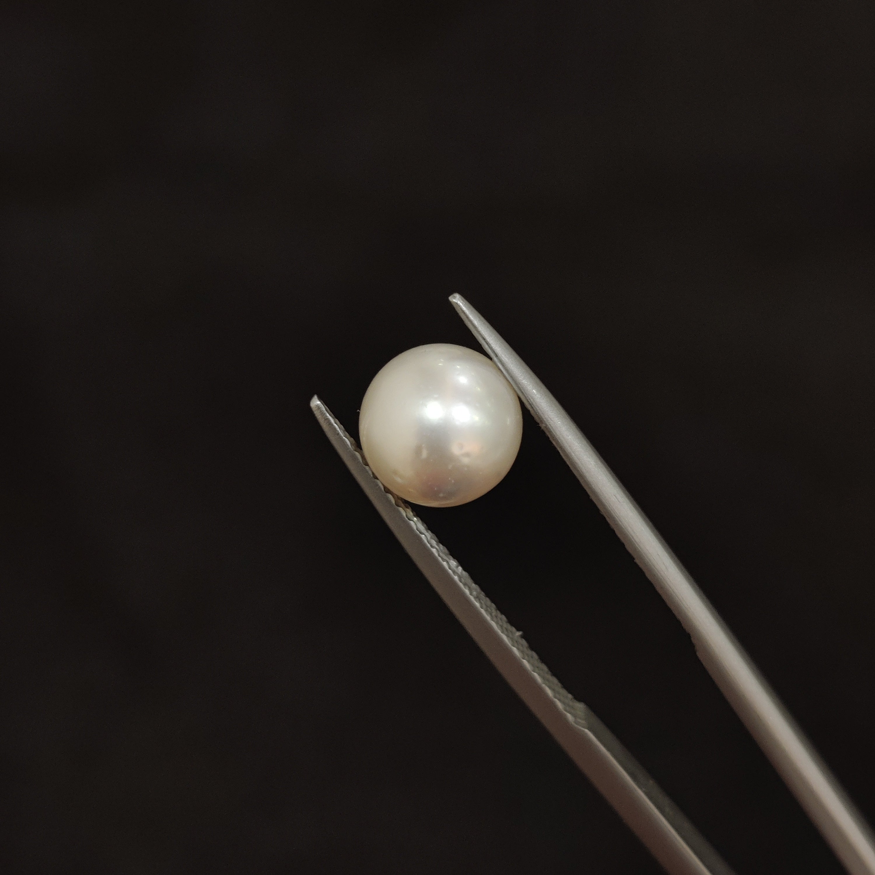 Pearl | Pearl 83 | 3.33 Carat