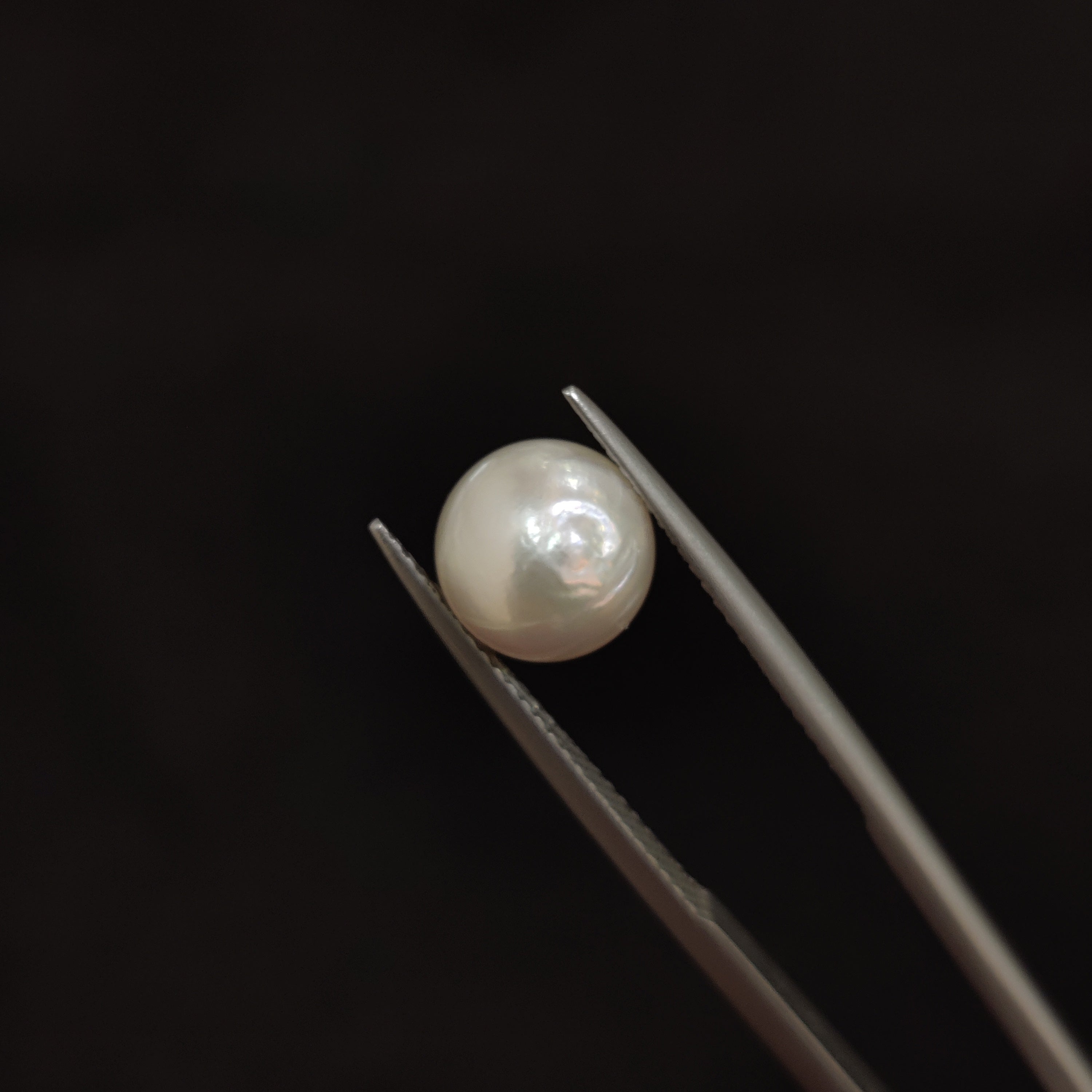 Pearl | Pearl 90 | 4.61 Carat