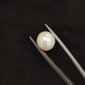 Pearl | Pearl 114 | 4.52 Carat