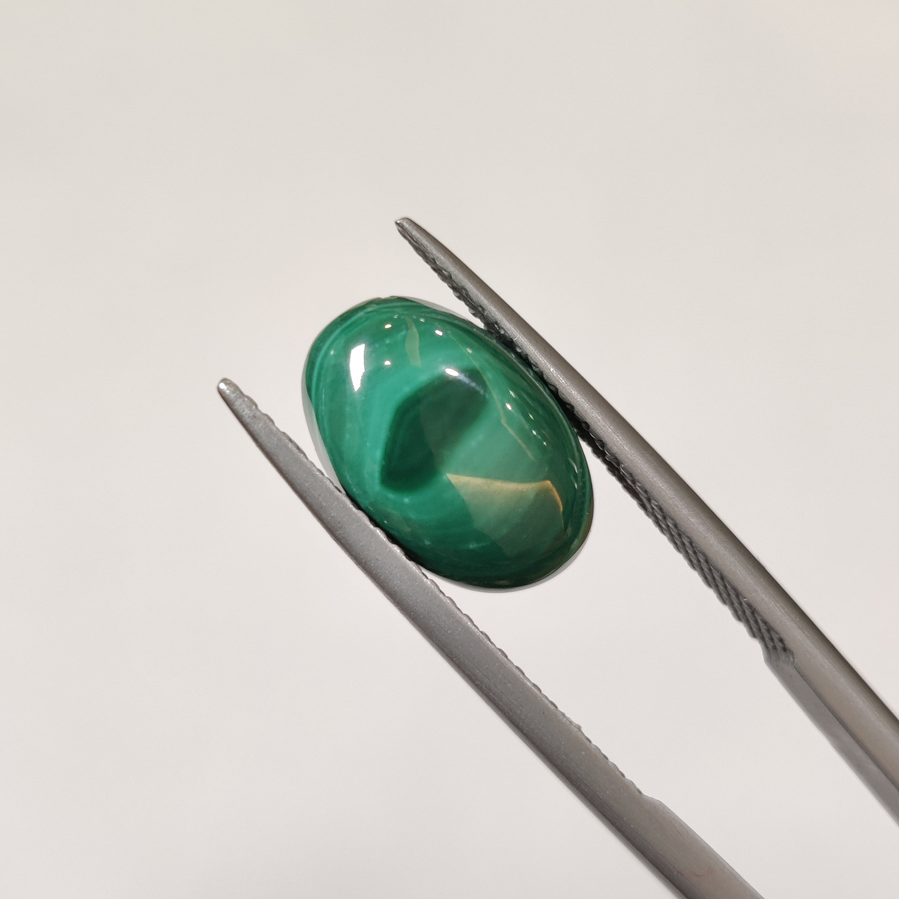 Malachite | Malachite 26 | 5.34 Carat