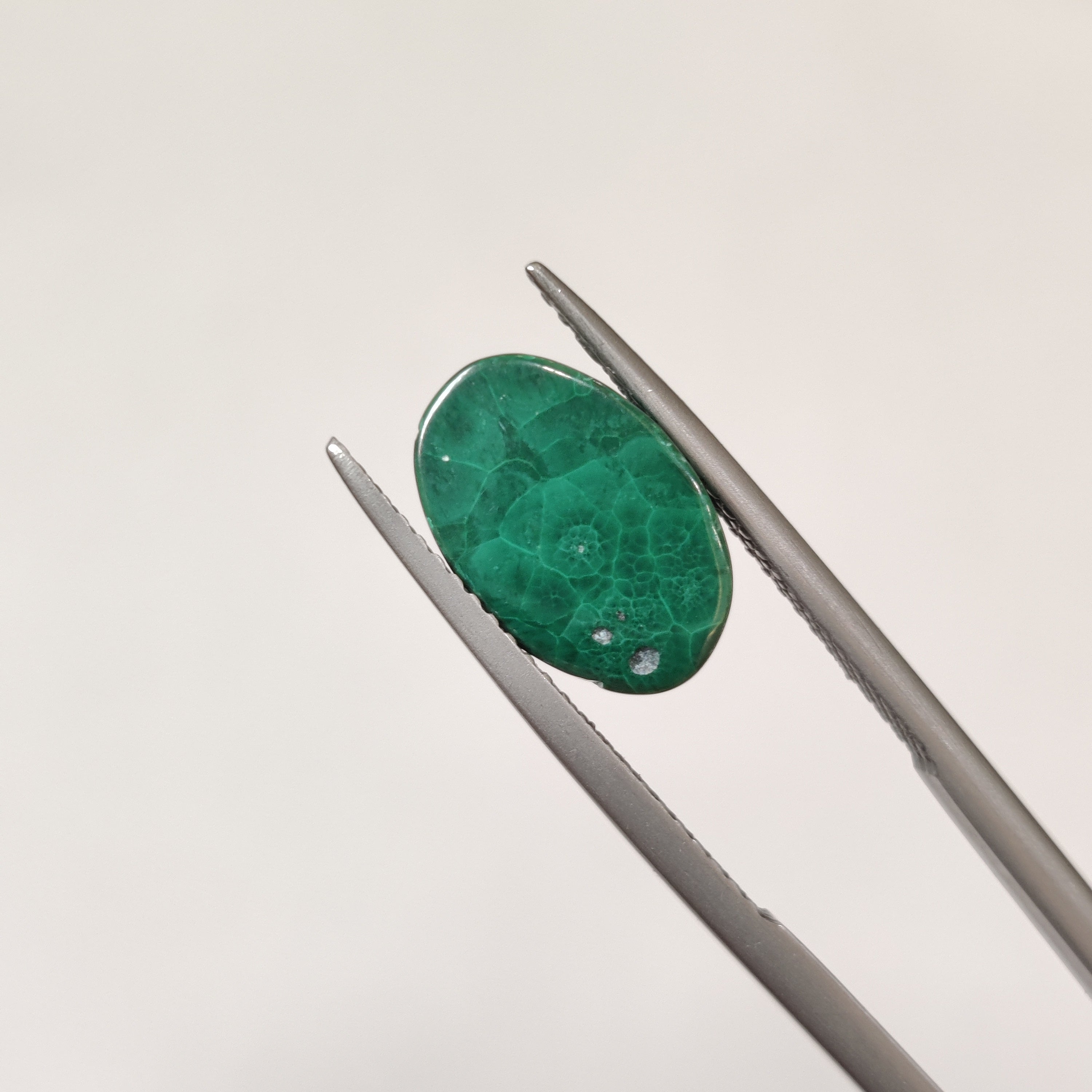 Malachite | Malachite 26 | 5.34 Carat