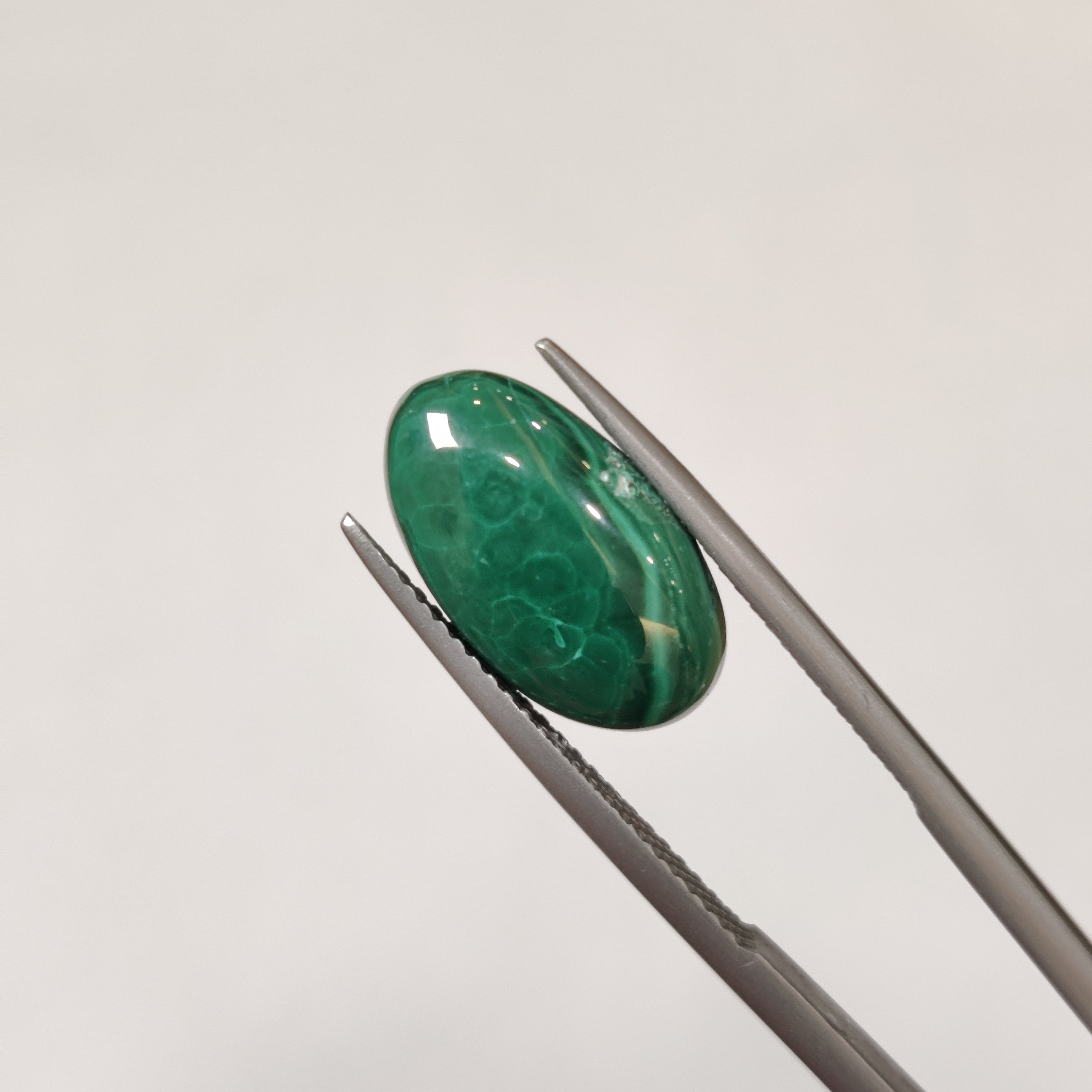 Malachite | Malachite 11 | 6.47 Carat